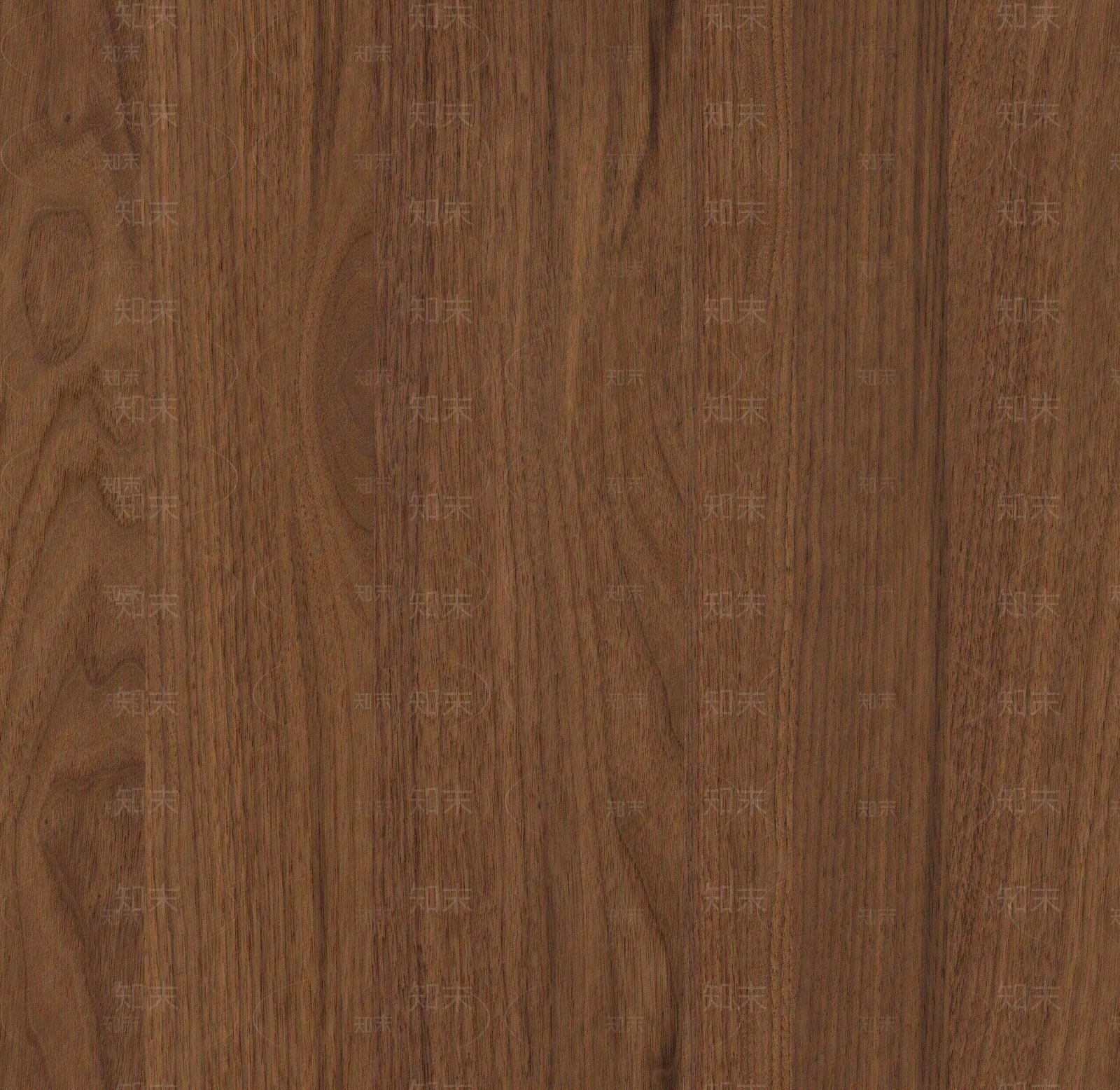 现代中式竹子贴图下载【ID:1186428424】