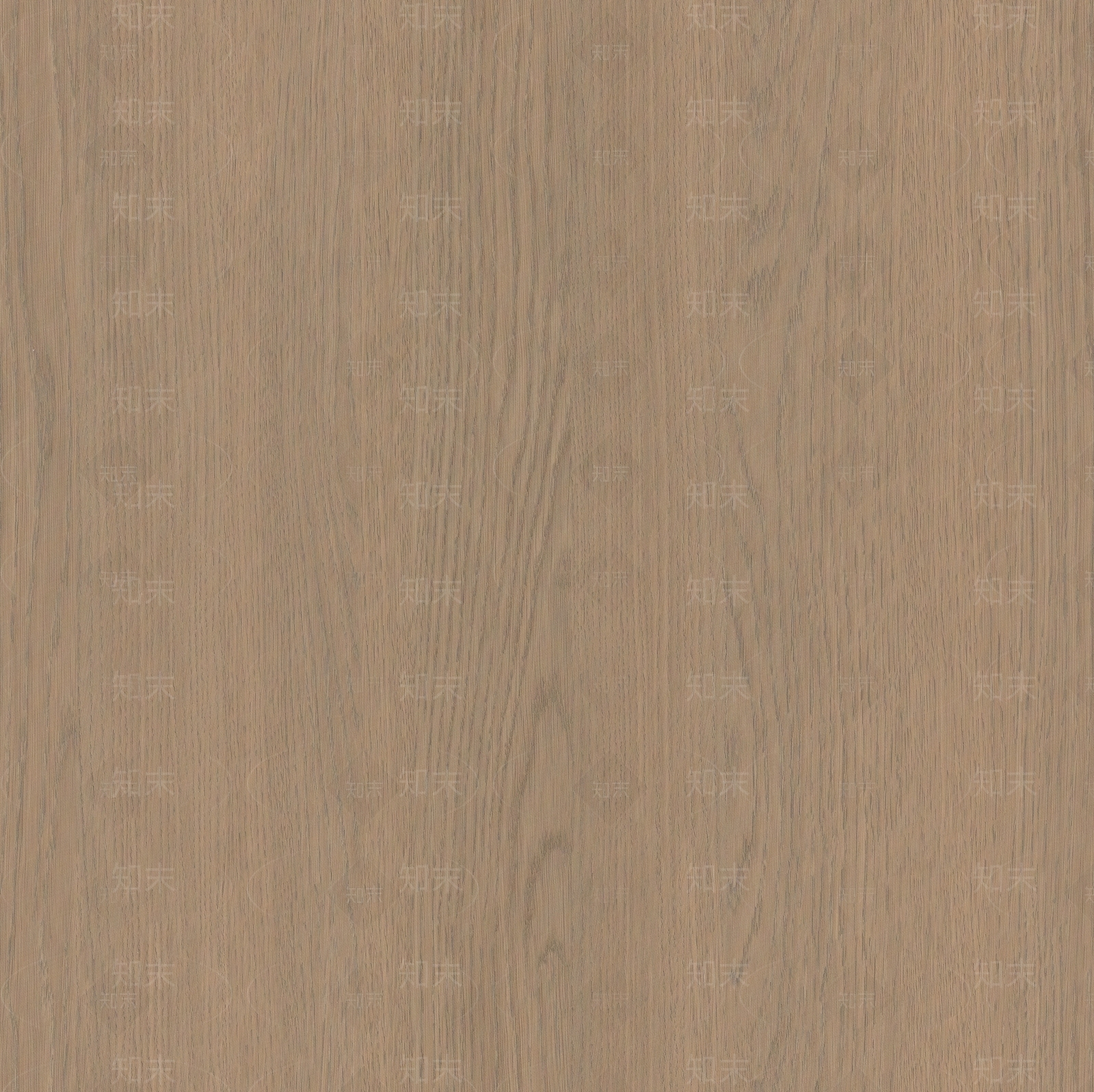 现代中式竹子贴图下载【ID:1186429093】