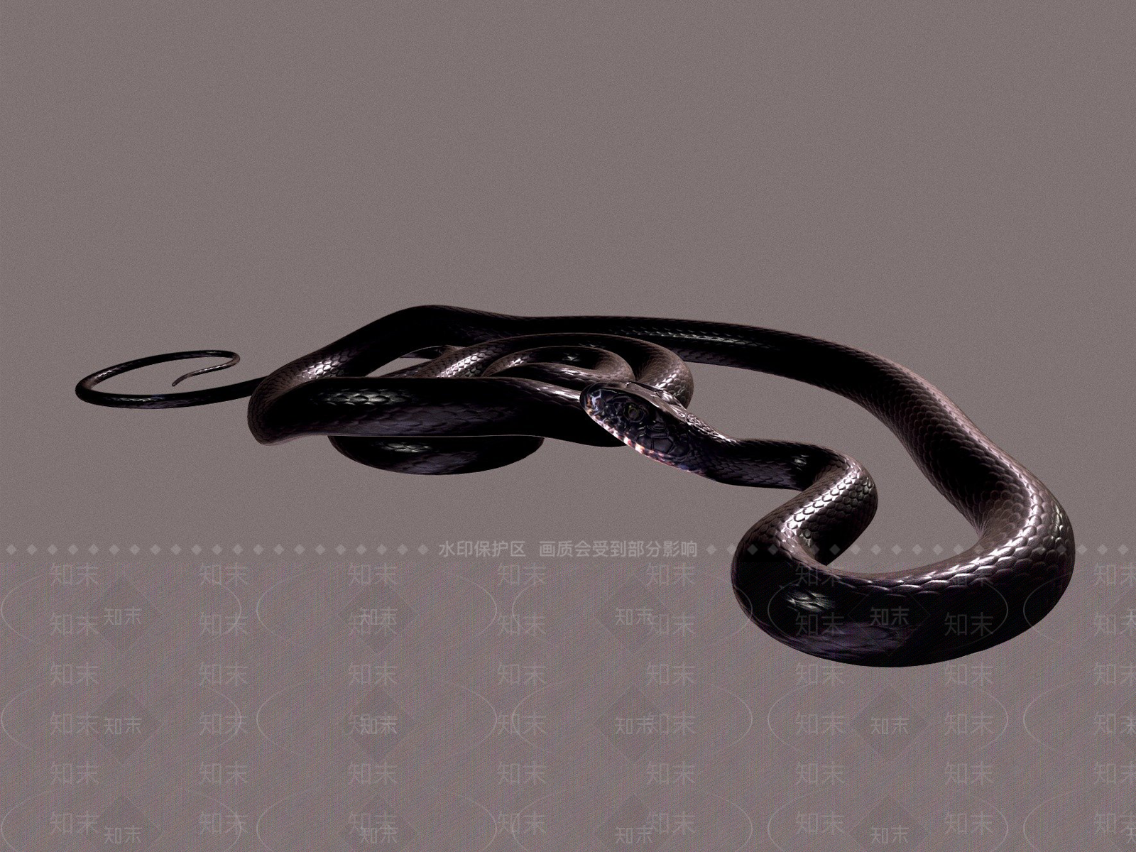 爬行类动物3D模型下载【ID:1186450288】