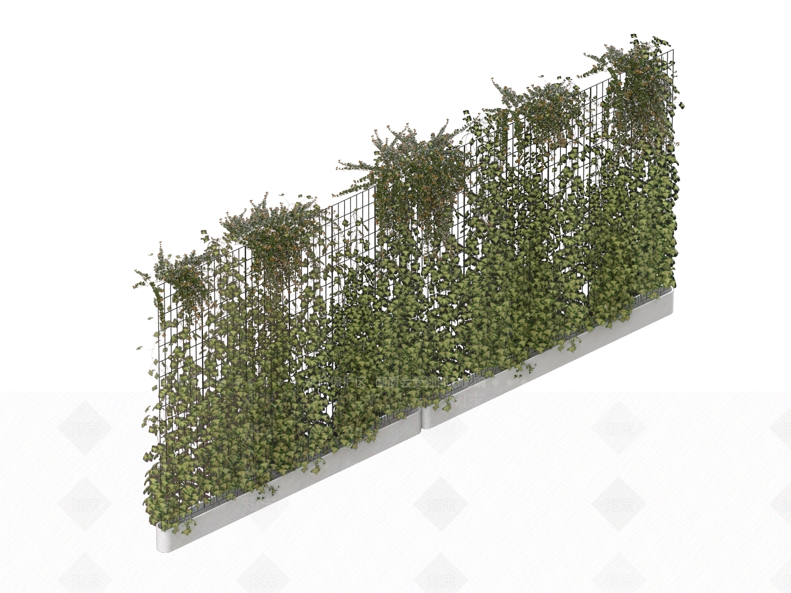 藤蔓3D模型下载【ID:1186467380】
