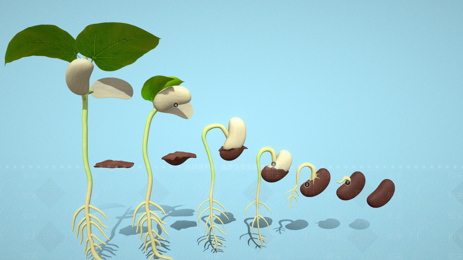 盆栽3D模型下载【ID:1186468855】