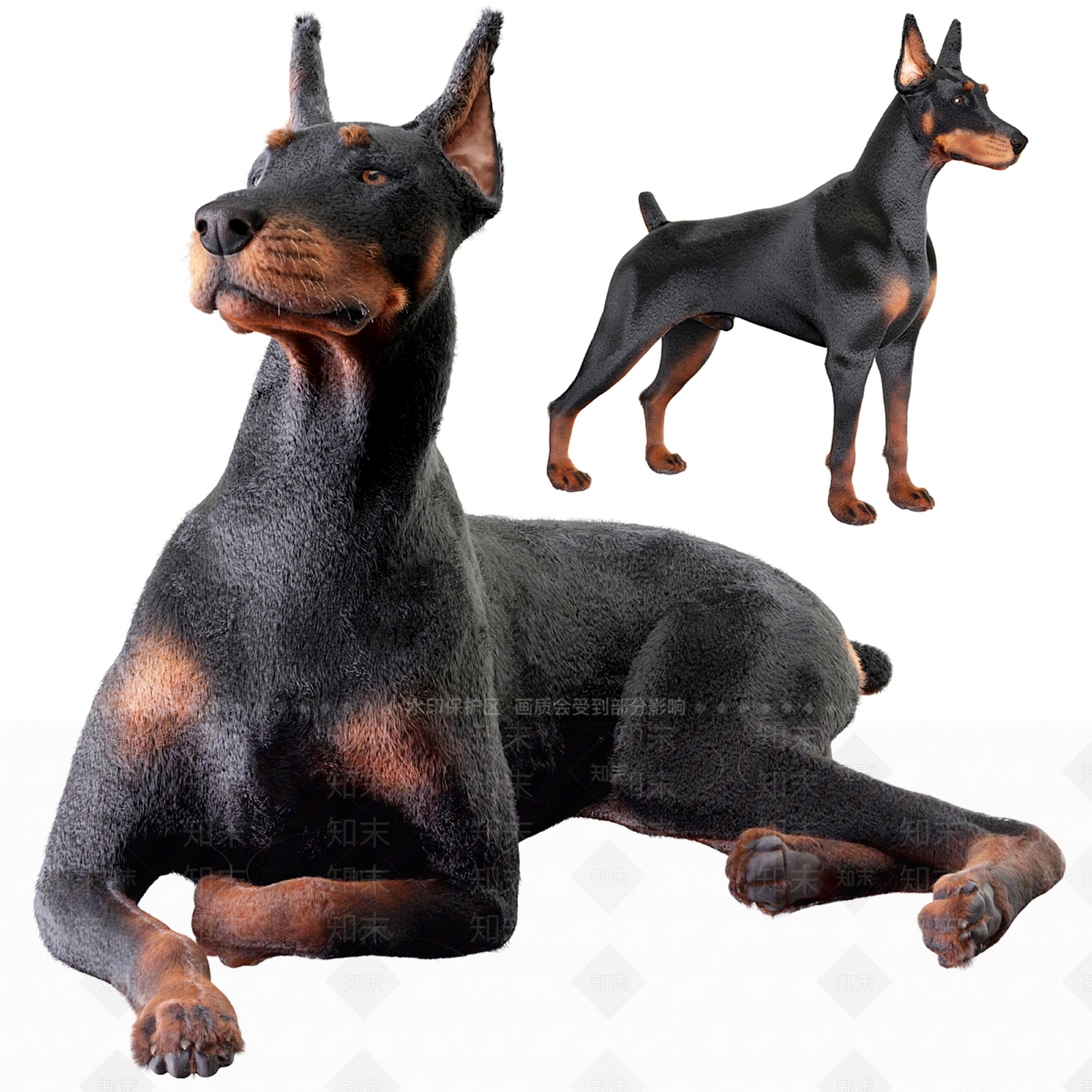 狗3D模型下载【ID:1186474141】