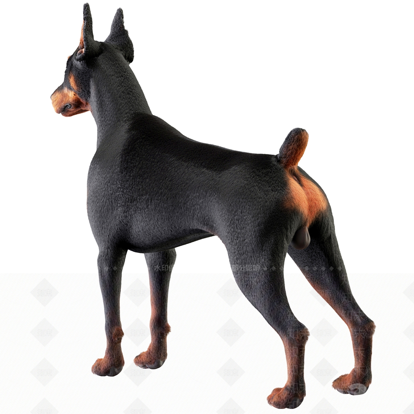 狗3D模型下载【ID:1186474141】