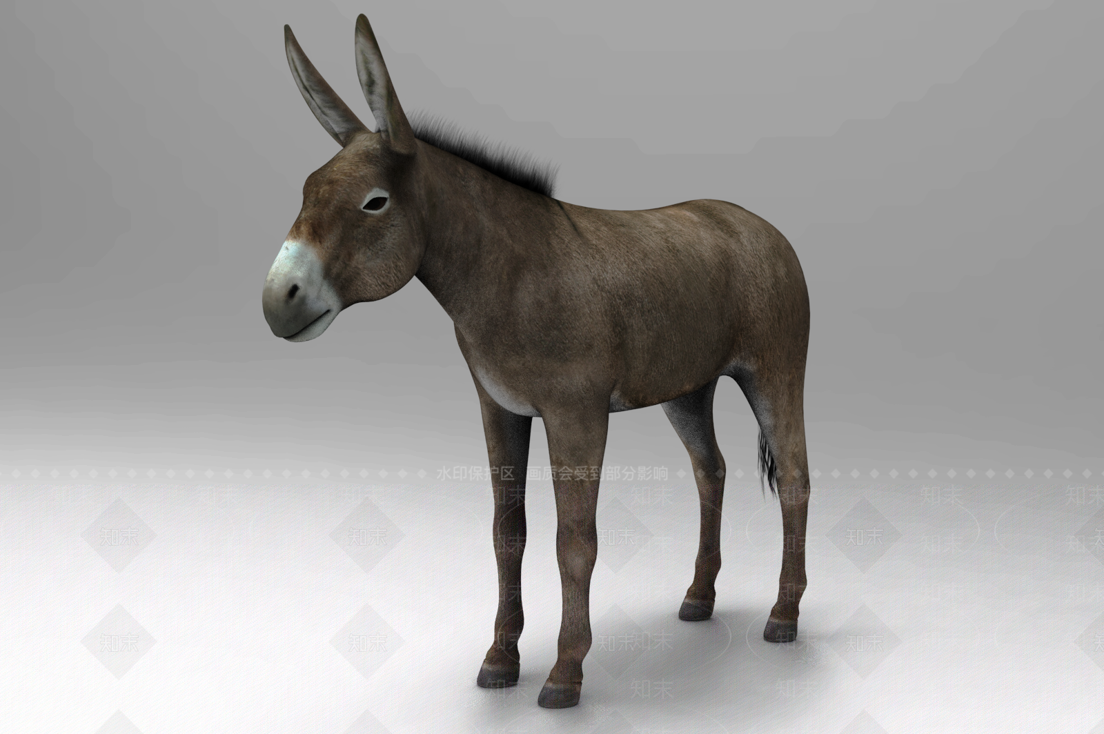 爬行类动物3D模型下载【ID:1186489550】