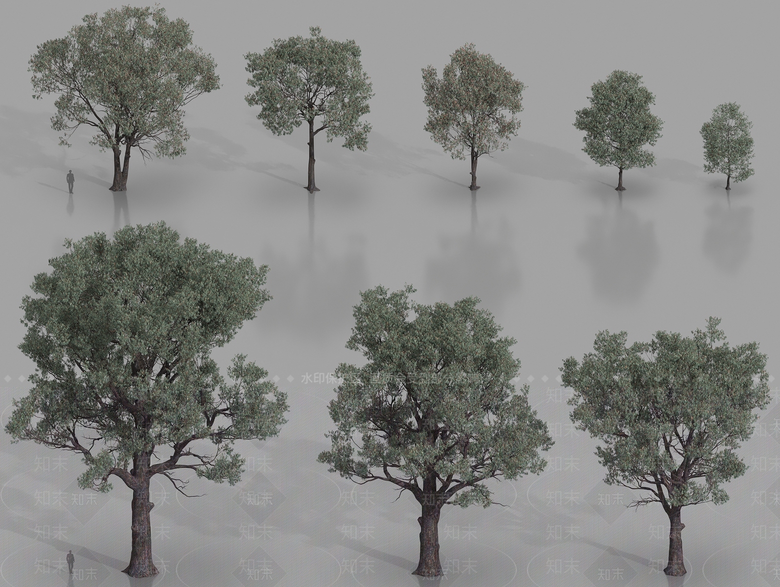 乔木3D模型下载【ID:1186489456】