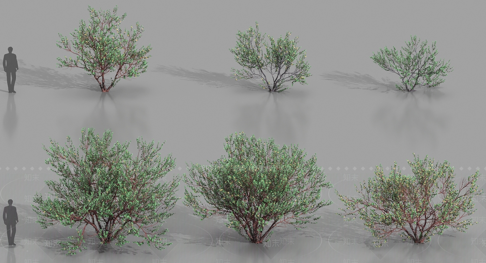 乔木3D模型下载【ID:1186490210】