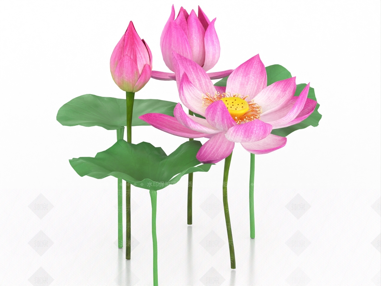 花草组合3D模型下载【ID:1186492948】