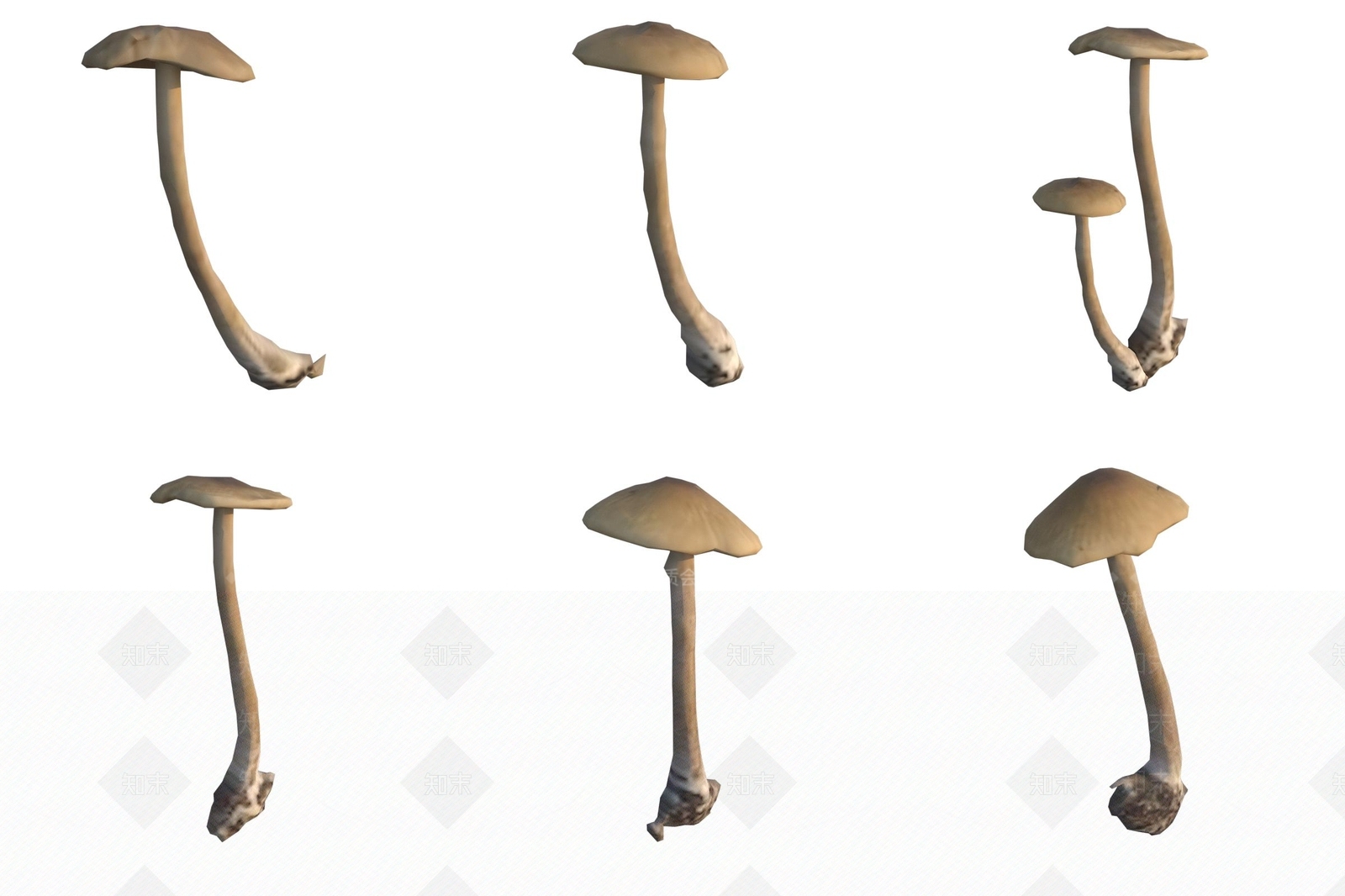 农作物3D模型下载【ID:1186494456】