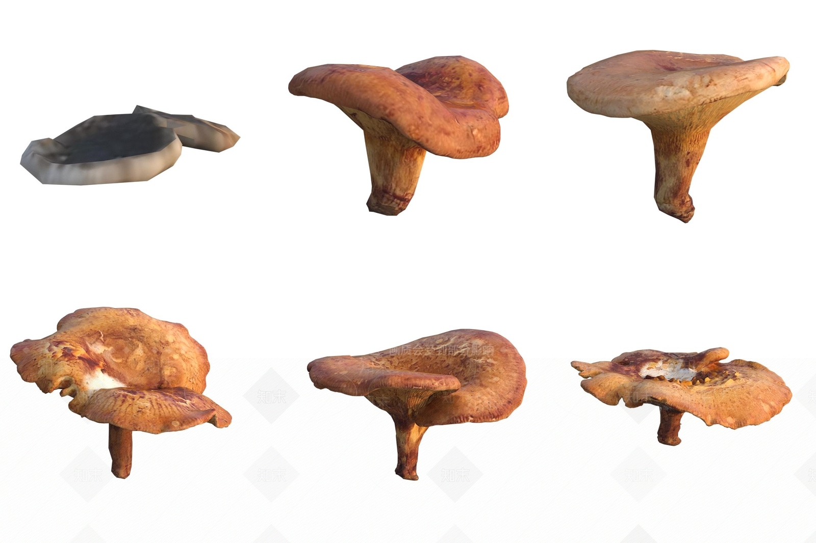 农作物3D模型下载【ID:1186497938】