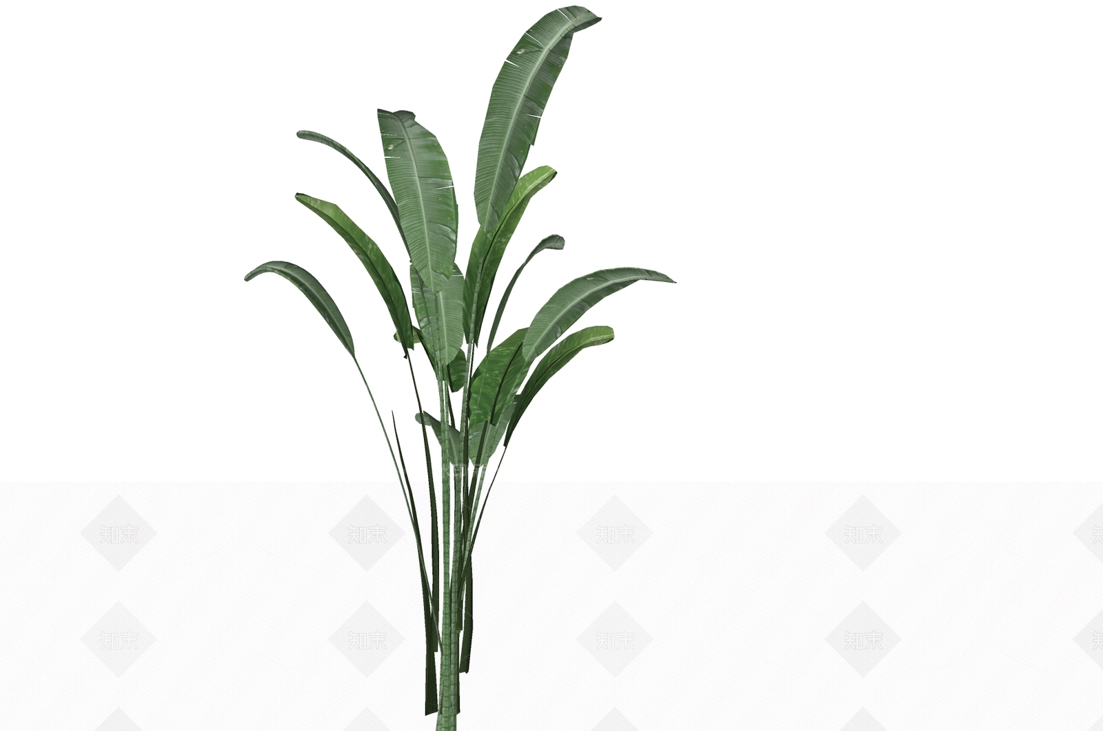 植物组合SU模型下载【ID:1186520049】