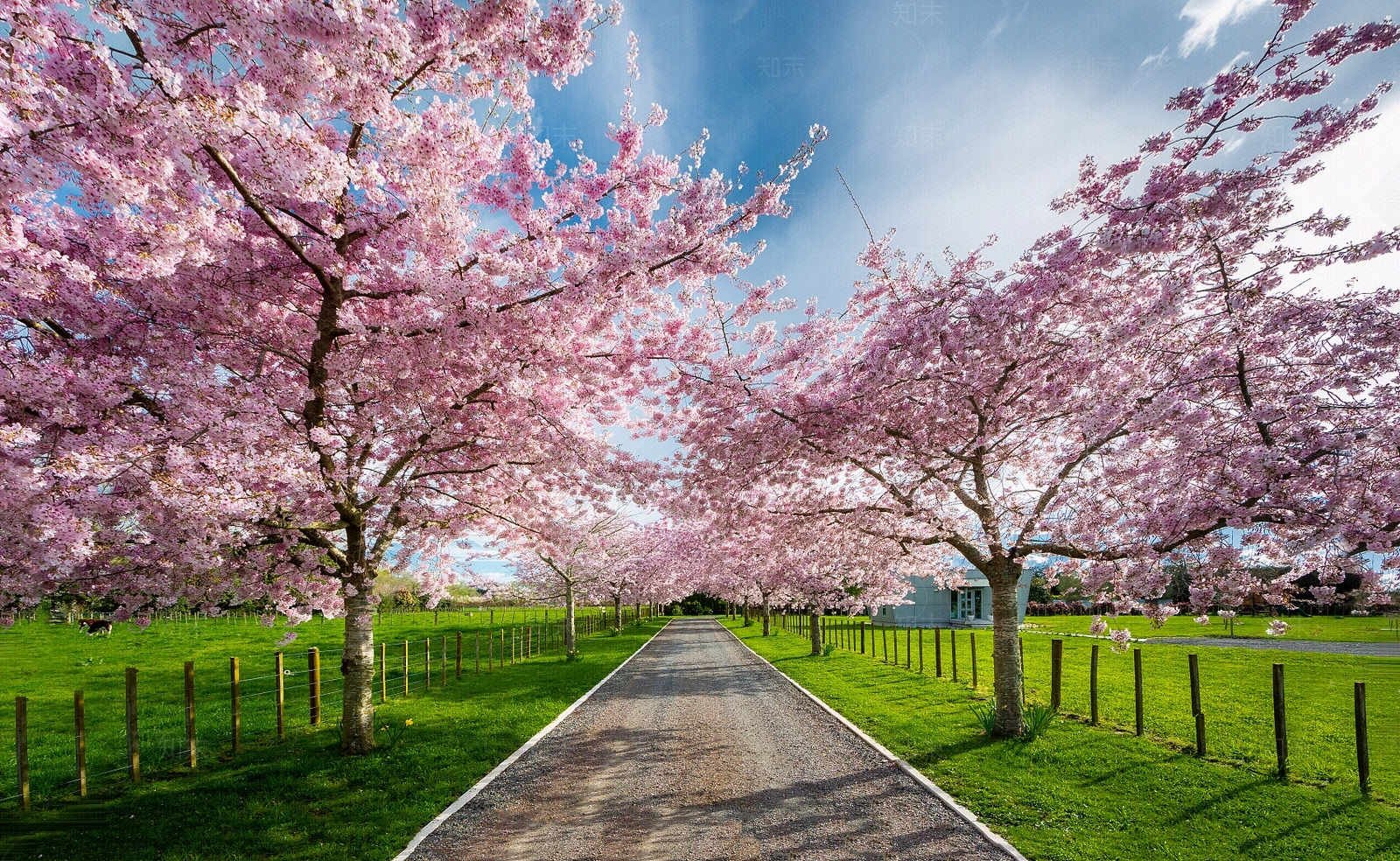 现代其他风景贴图下载【ID:1186528815】