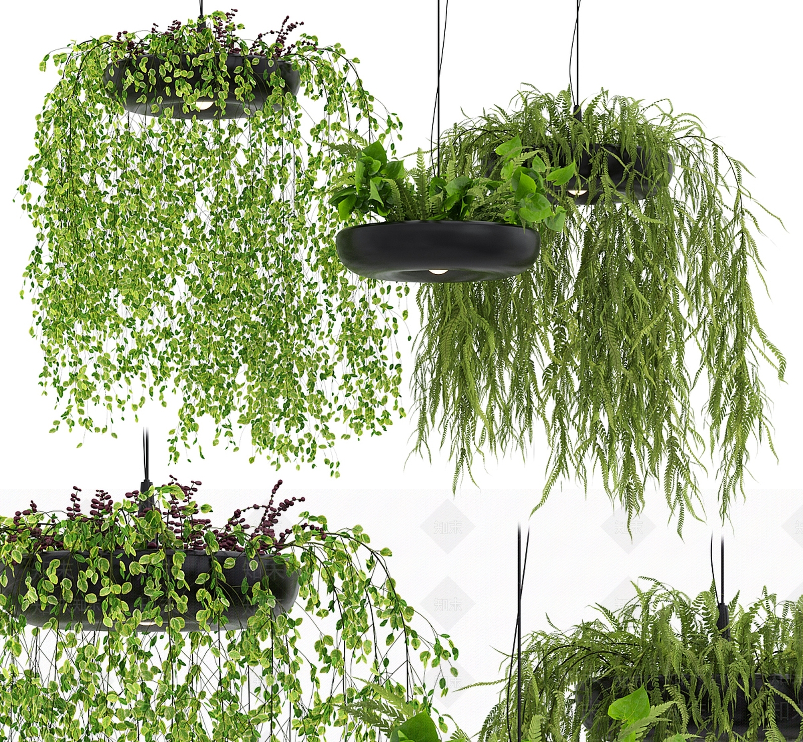 现代植物吊灯3D模型下载【ID:1186534908】