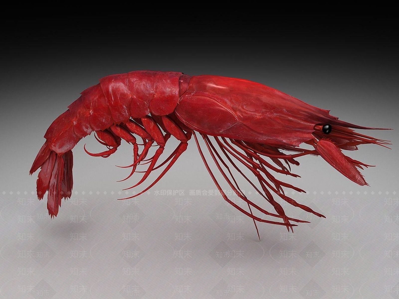 现代爬行类动物3D模型下载【ID:1186559628】