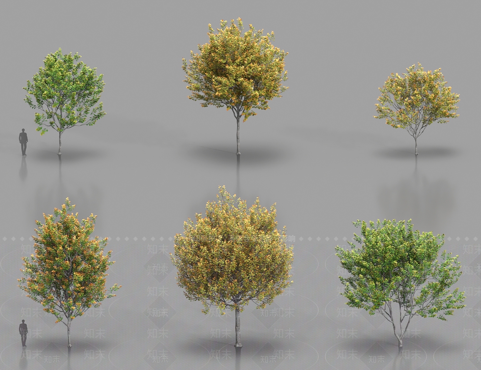 乔木3D模型下载【ID:1186570611】