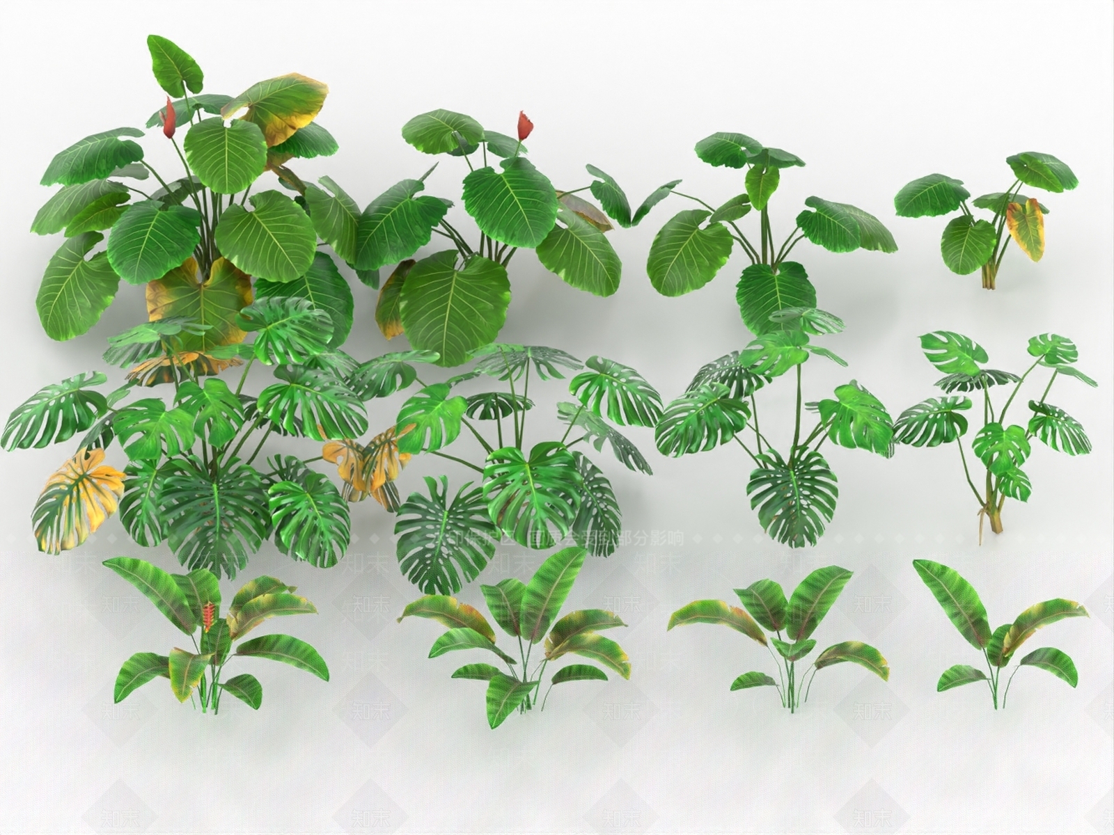 灌木3D模型下载【ID:1186580237】