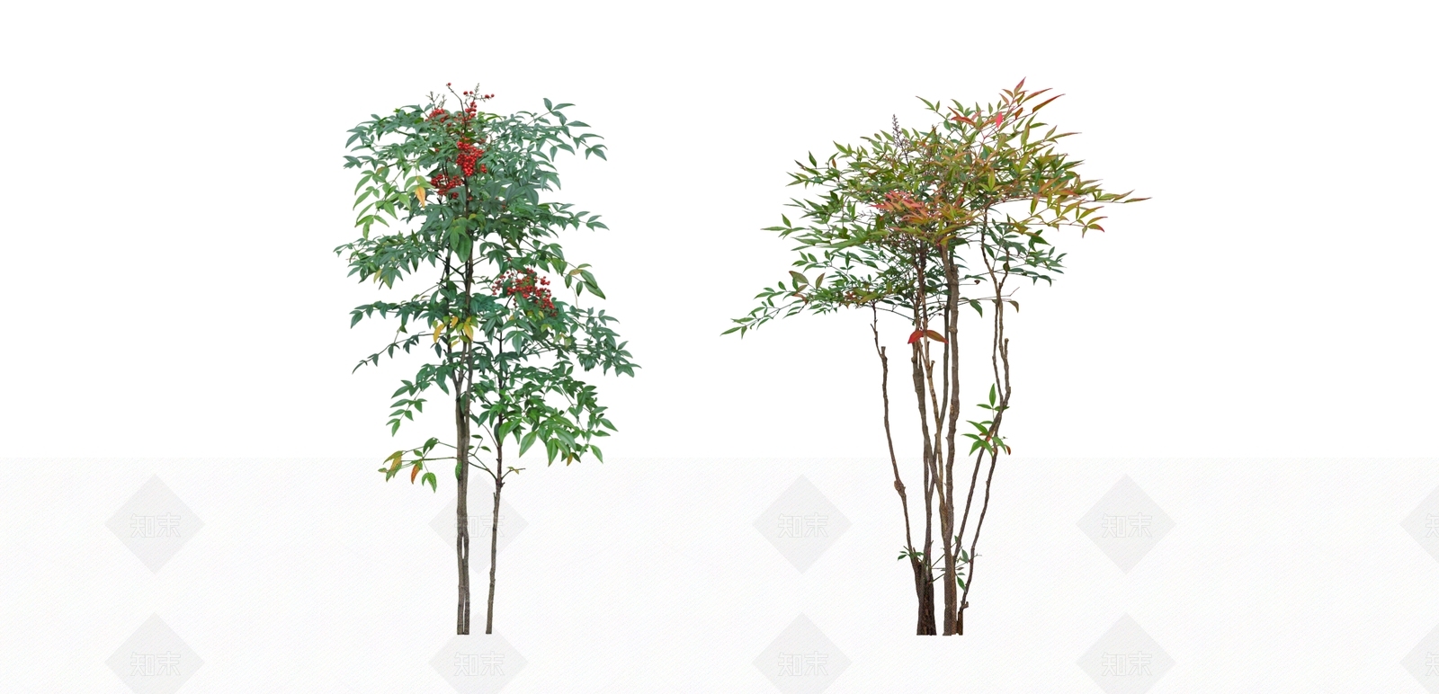 灌木SU模型下载【ID:1186592068】