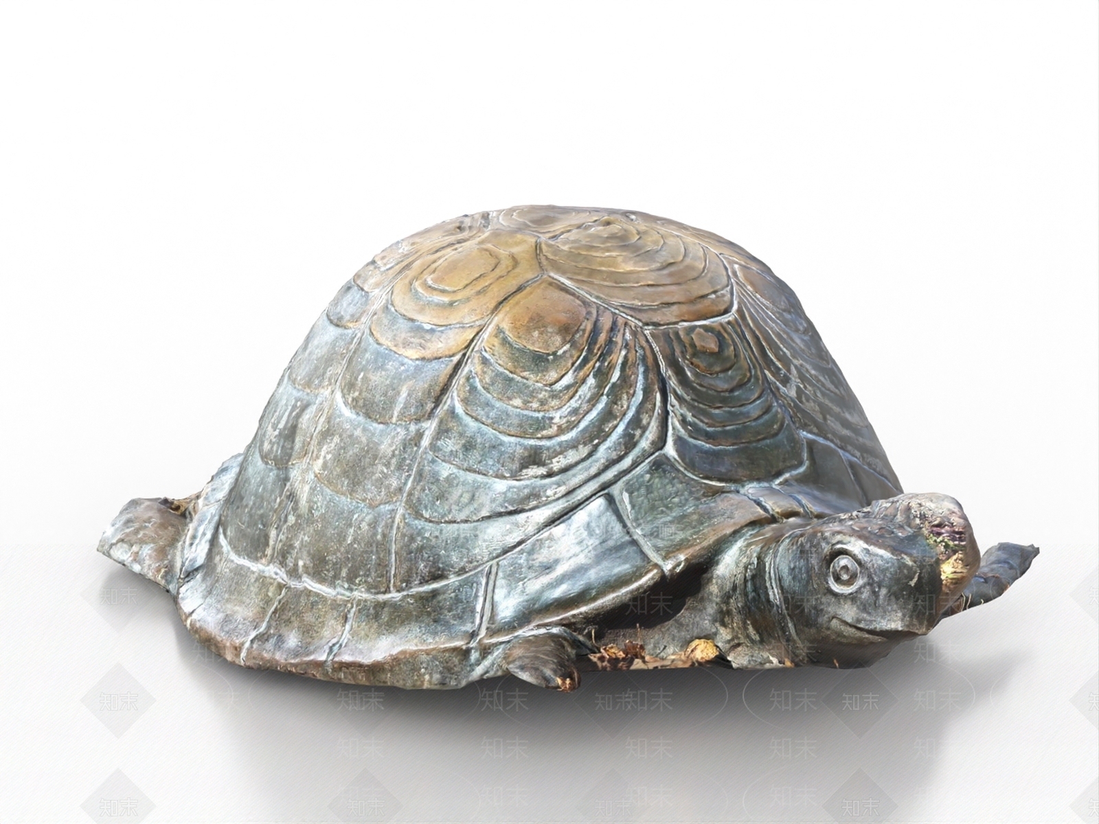 爬行类动物3D模型下载【ID:1186599627】