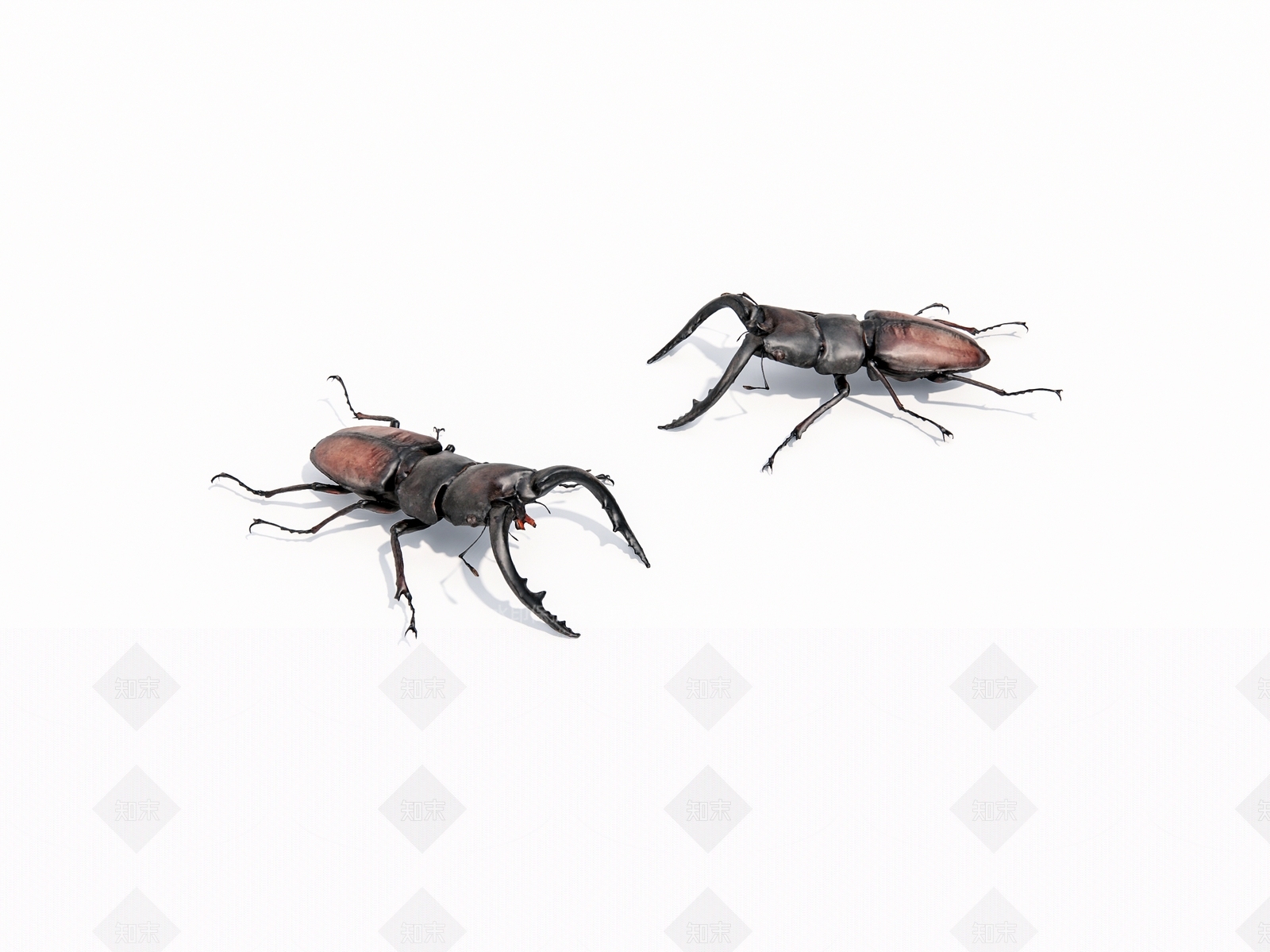 爬行动物SU模型下载【ID:1186603279】