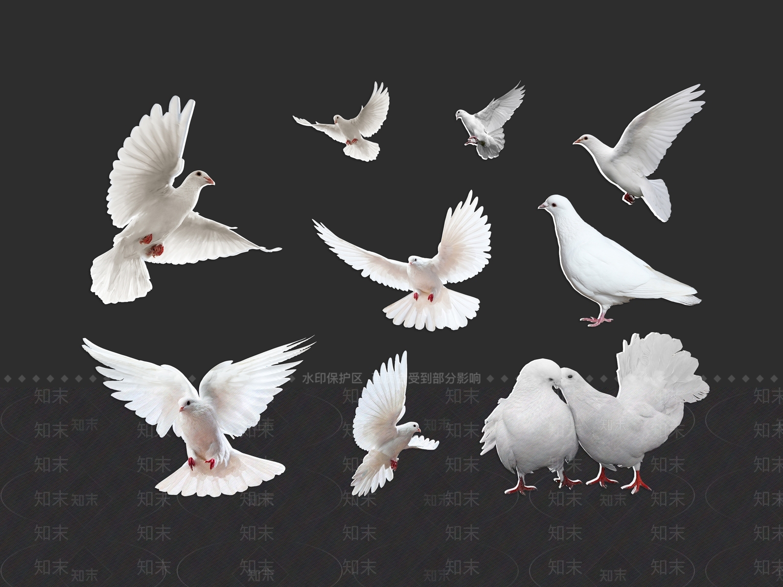 飞行类动物3D模型下载【ID:1186612970】