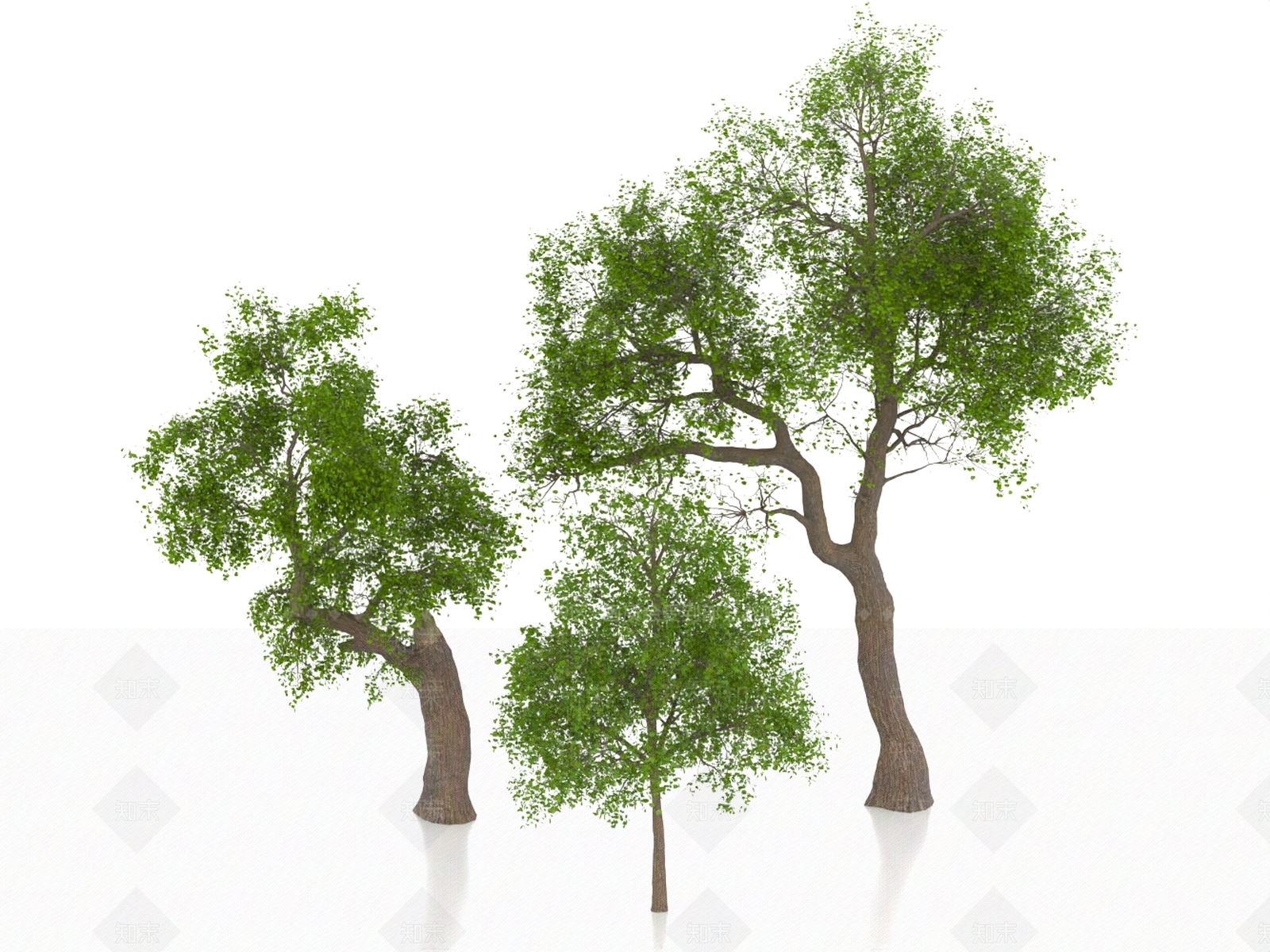 景观树3D模型下载【ID:1186625951】