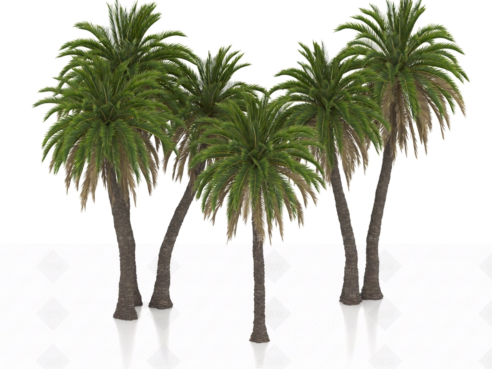 景观树3D模型下载【ID:1186628298】
