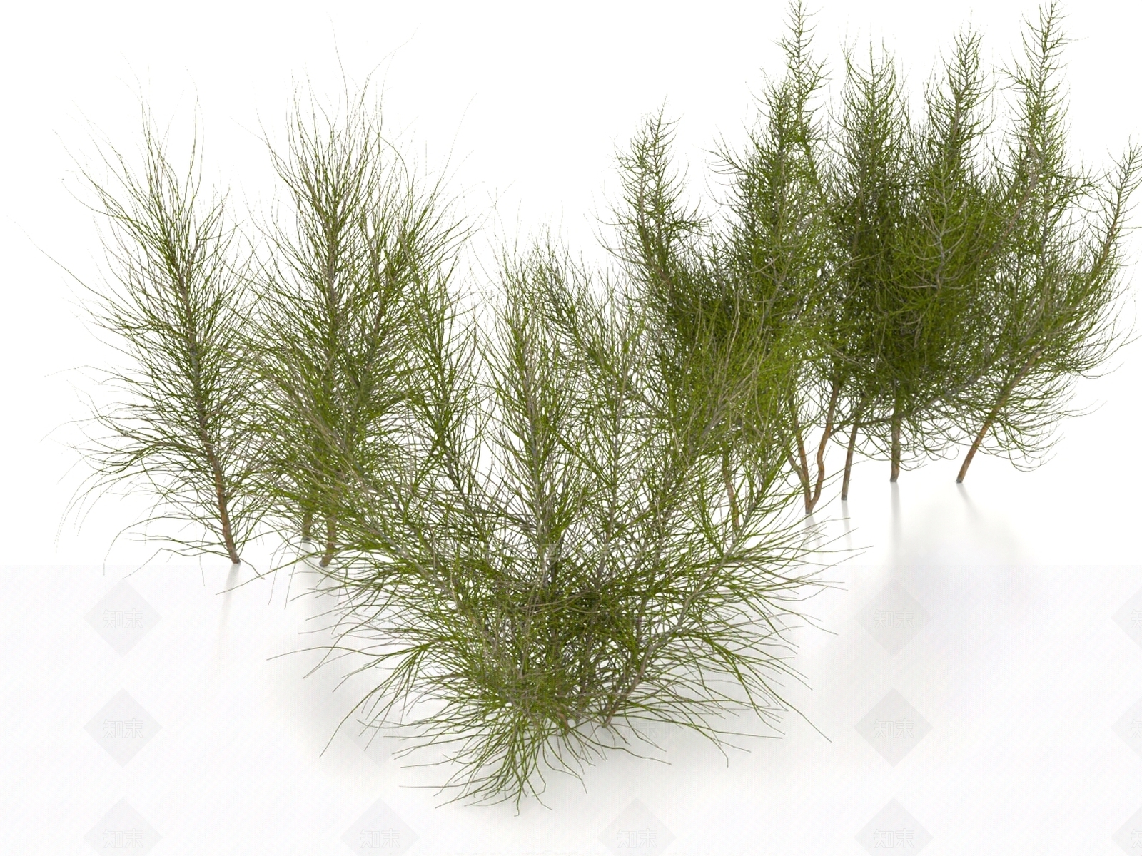 灌木3D模型下载【ID:1186629697】