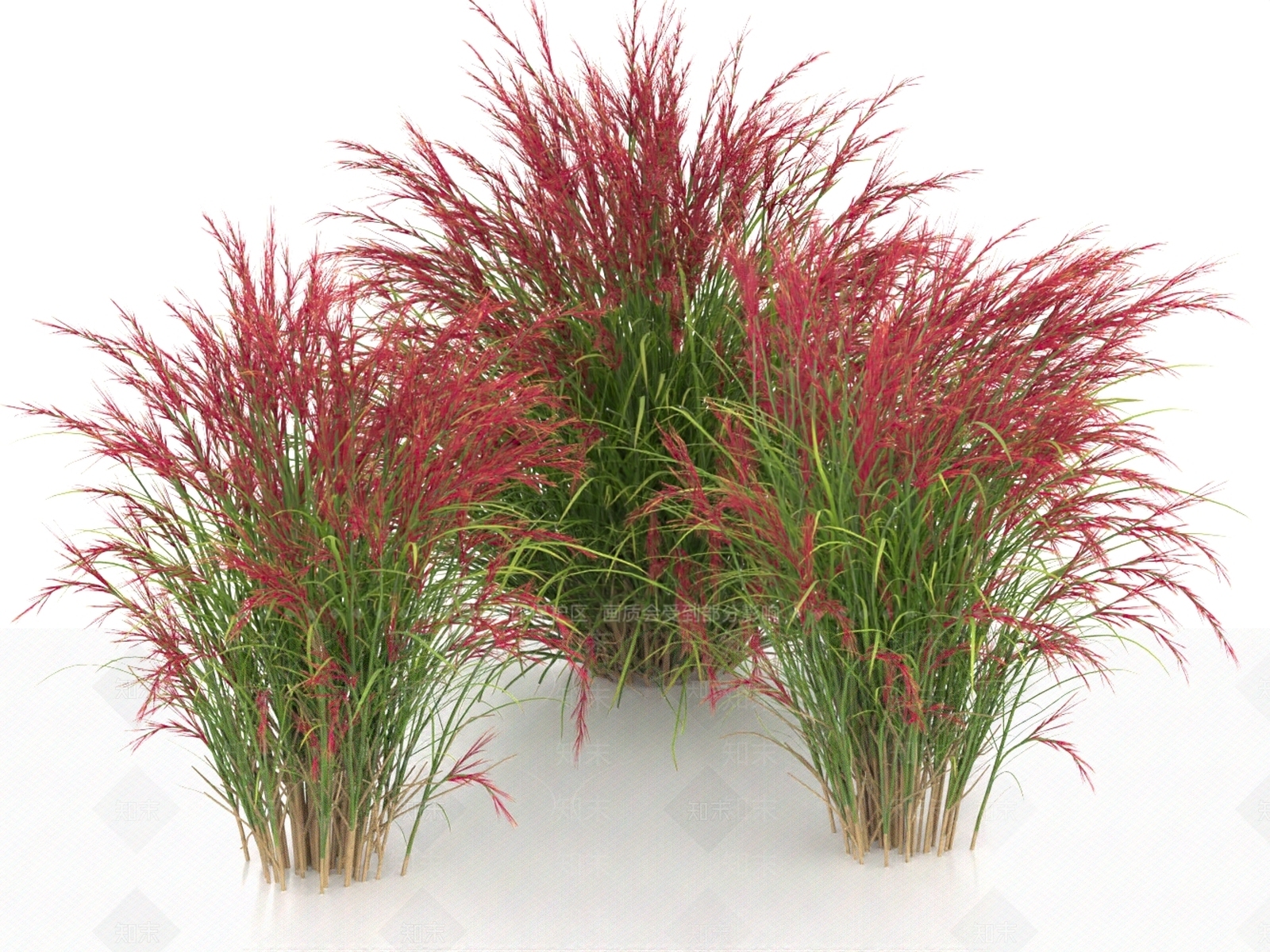 草3D模型下载【ID:1186631219】