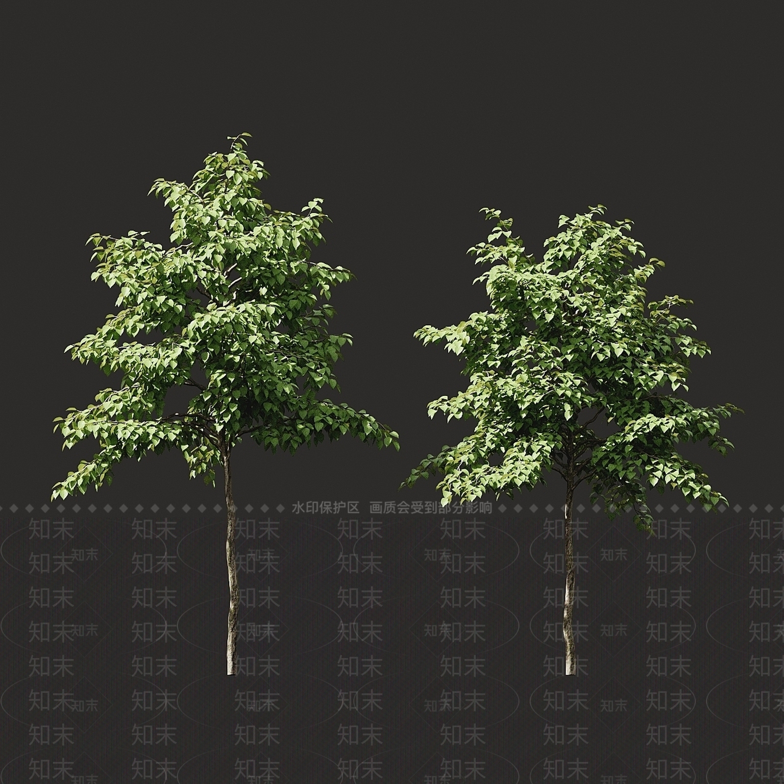其他树木3D模型下载【ID:1186647885】