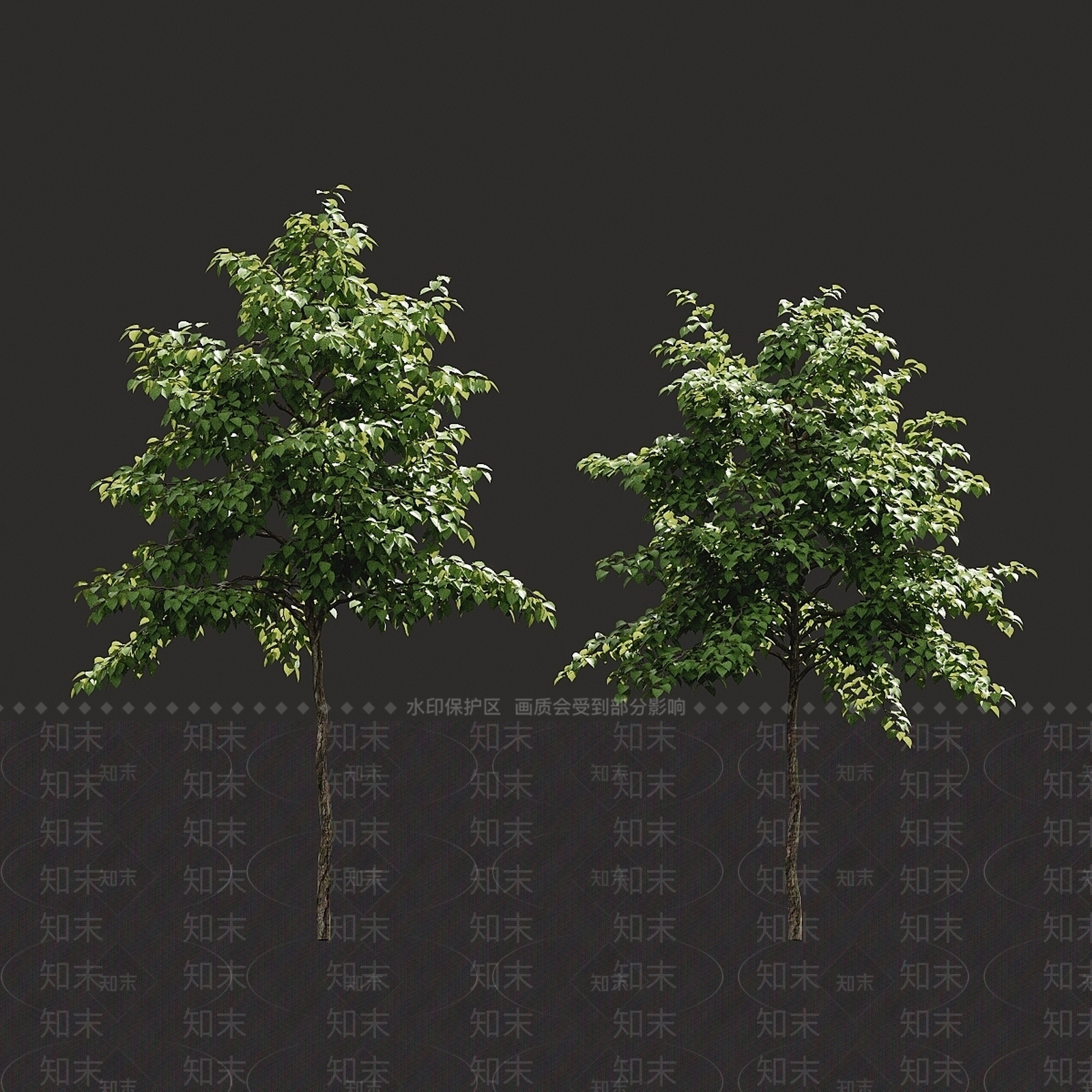 其他树木3D模型下载【ID:1186647885】