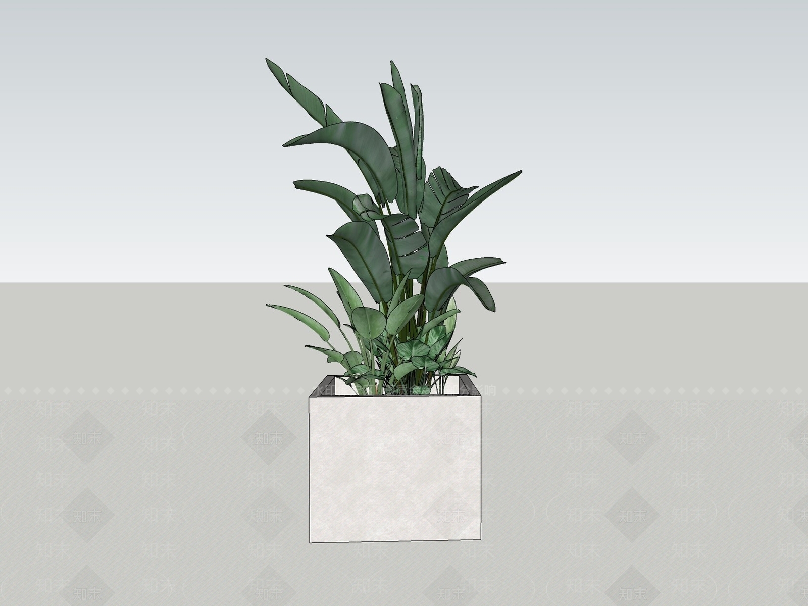 植物组合SU模型下载【ID:1186652559】