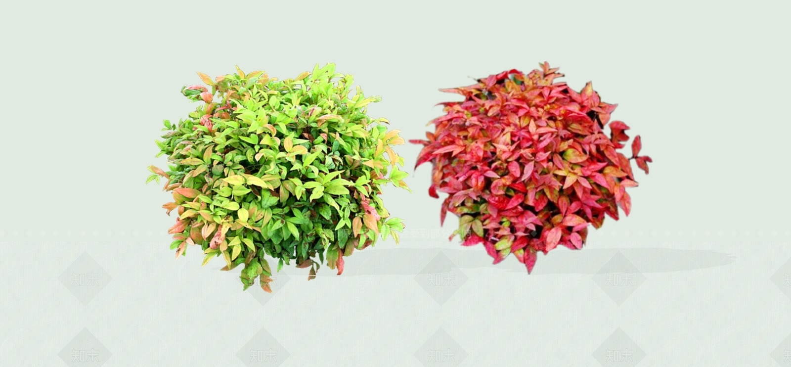 灌木SU模型下载【ID:1186681325】