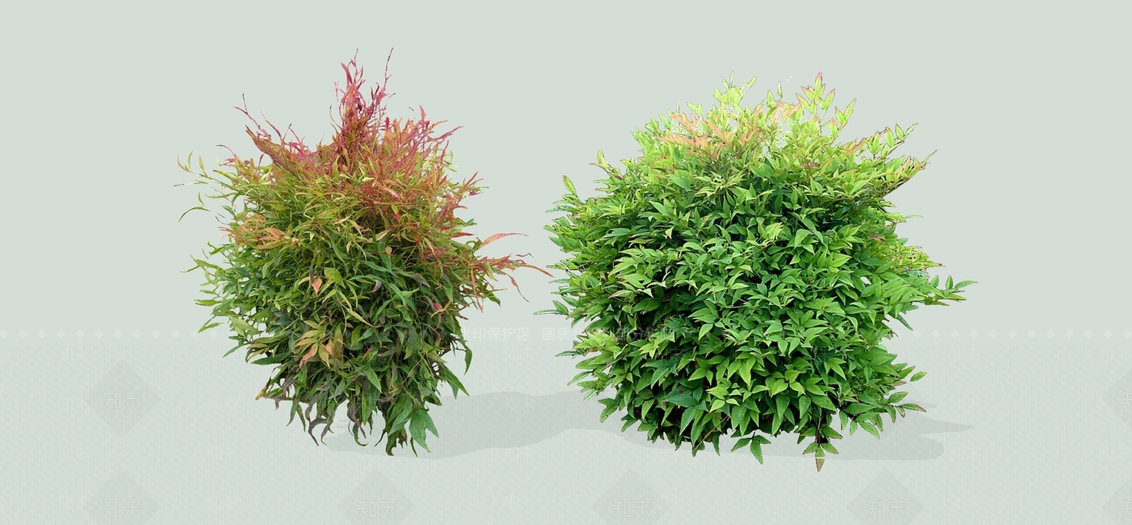 灌木SU模型下载【ID:1186682214】