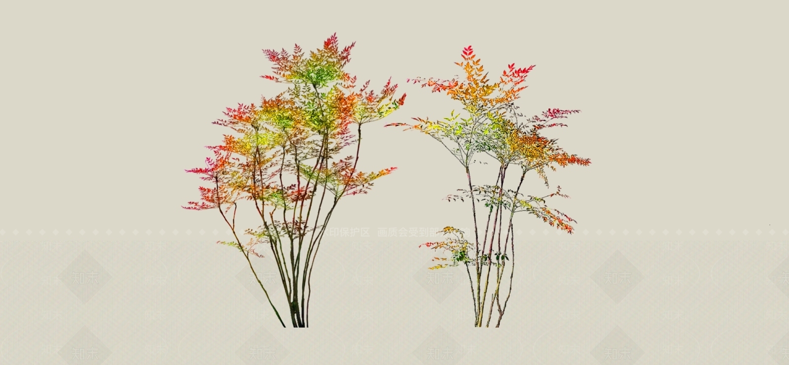 灌木SU模型下载【ID:1186682798】