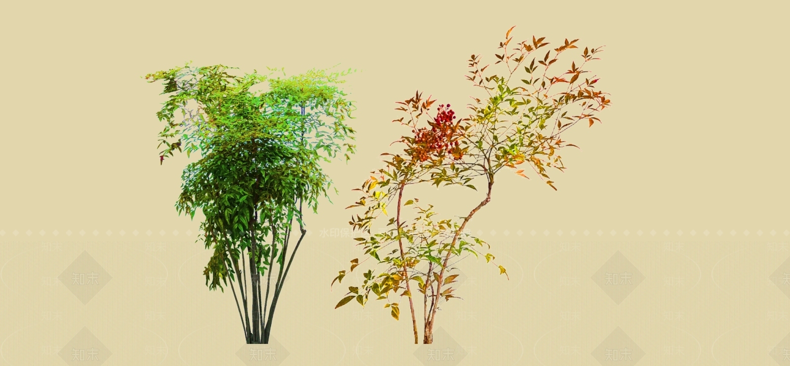 灌木SU模型下载【ID:1186682900】