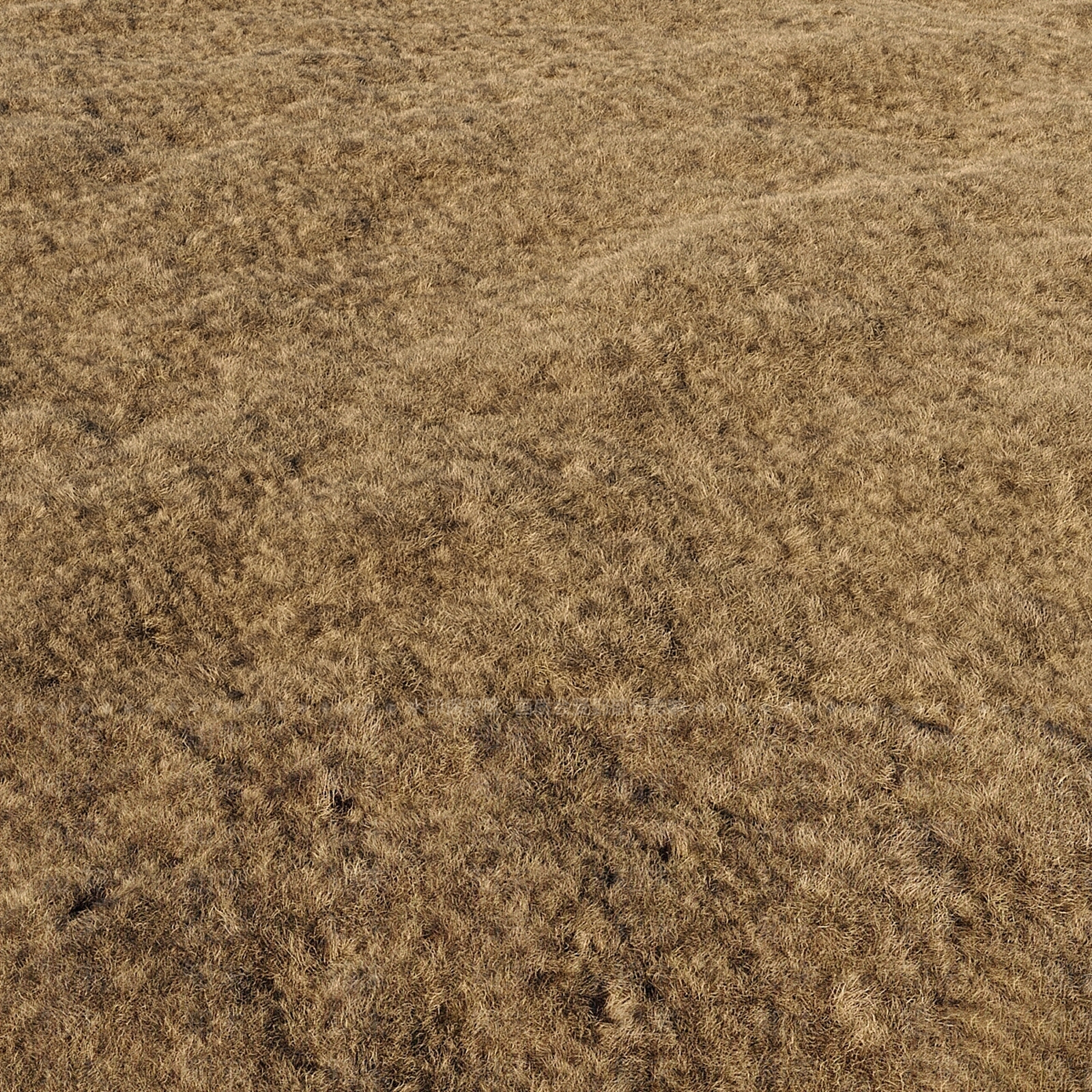草坪3D模型下载【ID:1186688318】