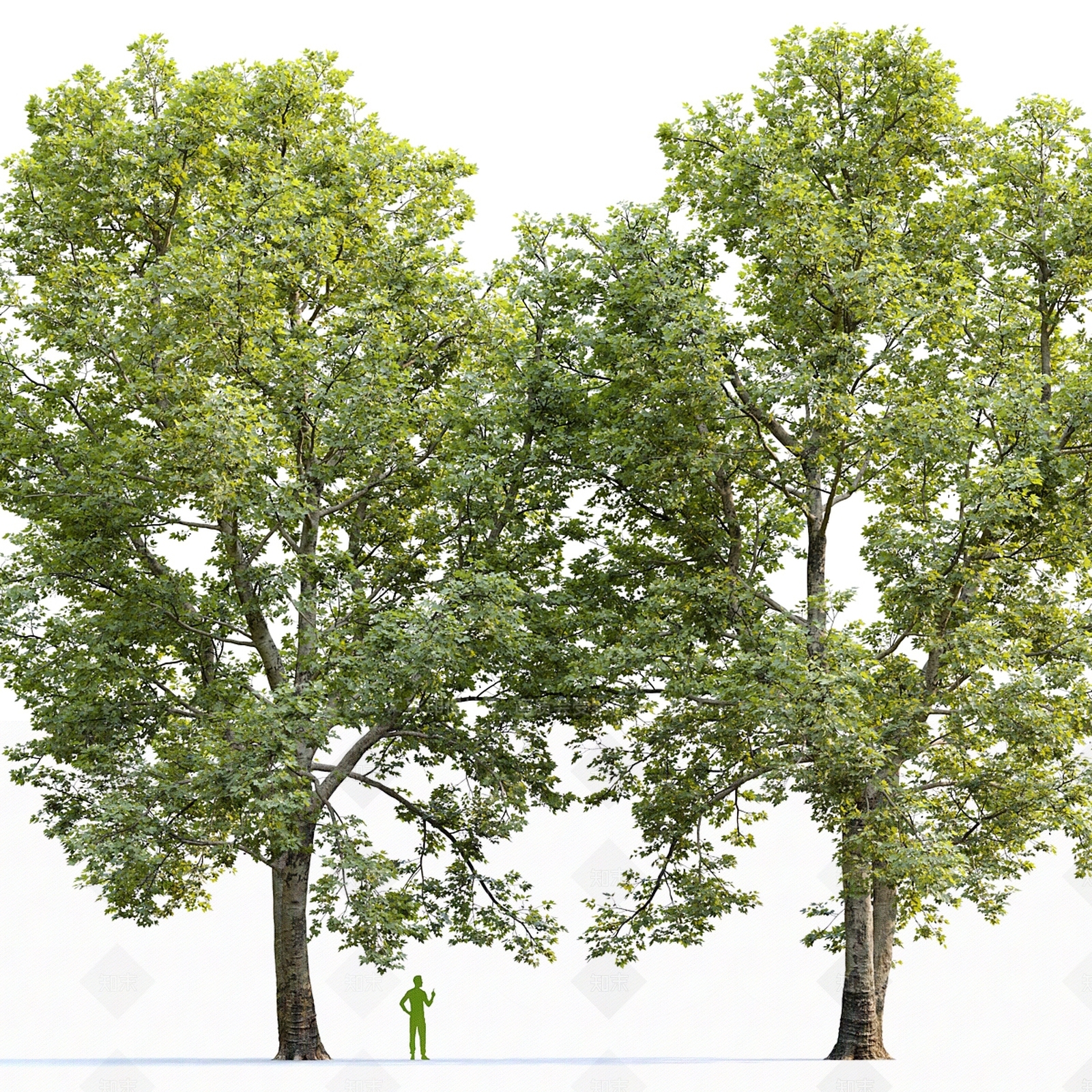 景观树3D模型下载【ID:1186690878】