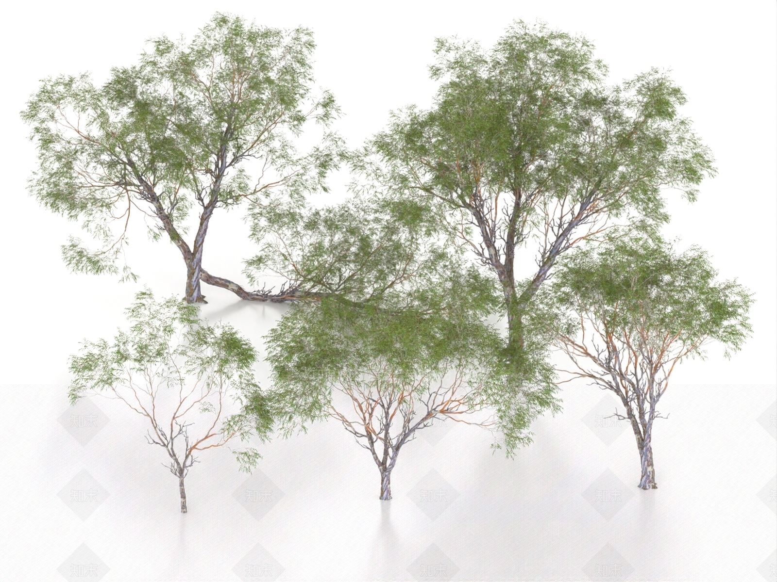 景观树3D模型下载【ID:1186691363】