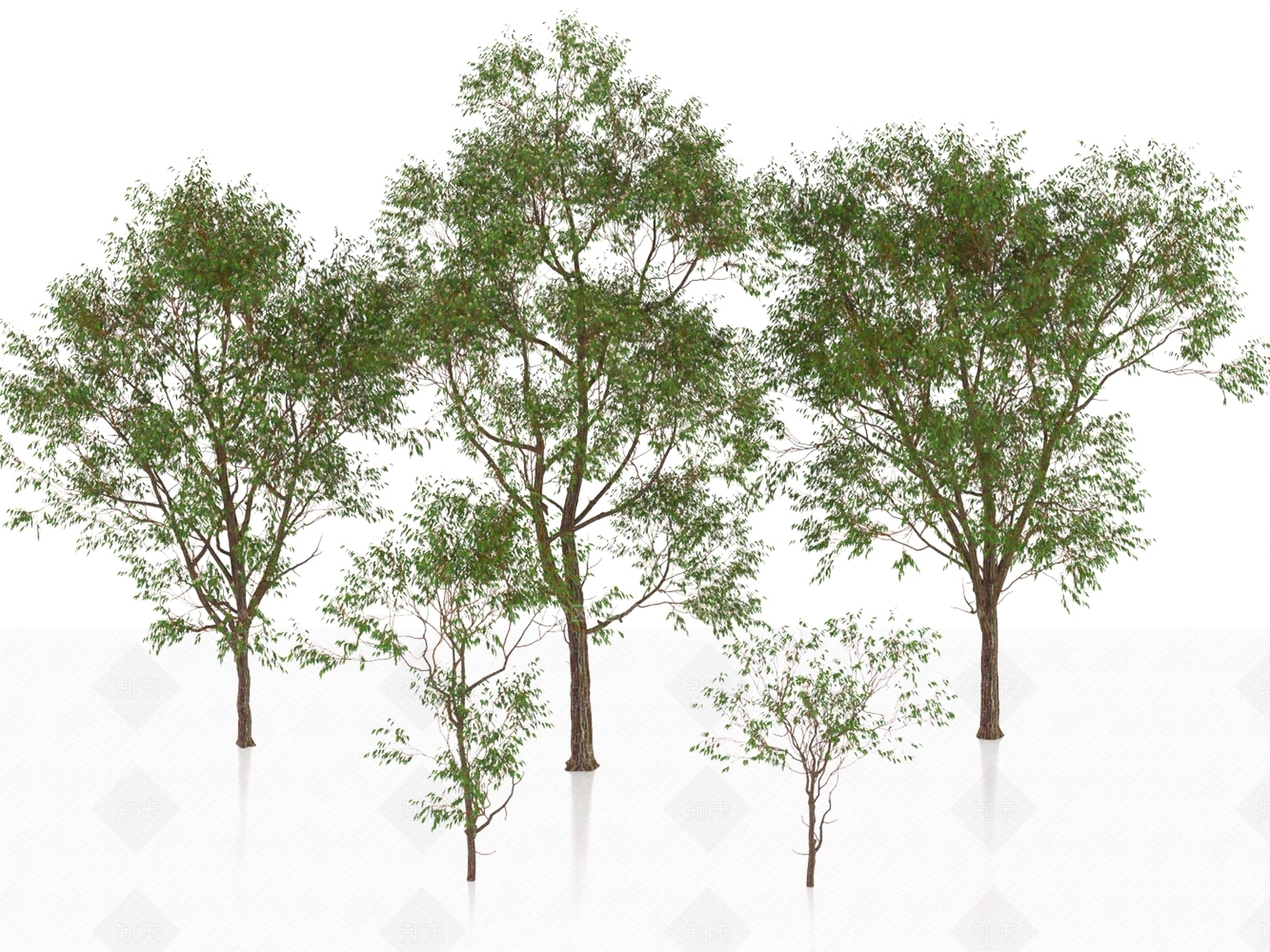 景观树3D模型下载【ID:1186691577】