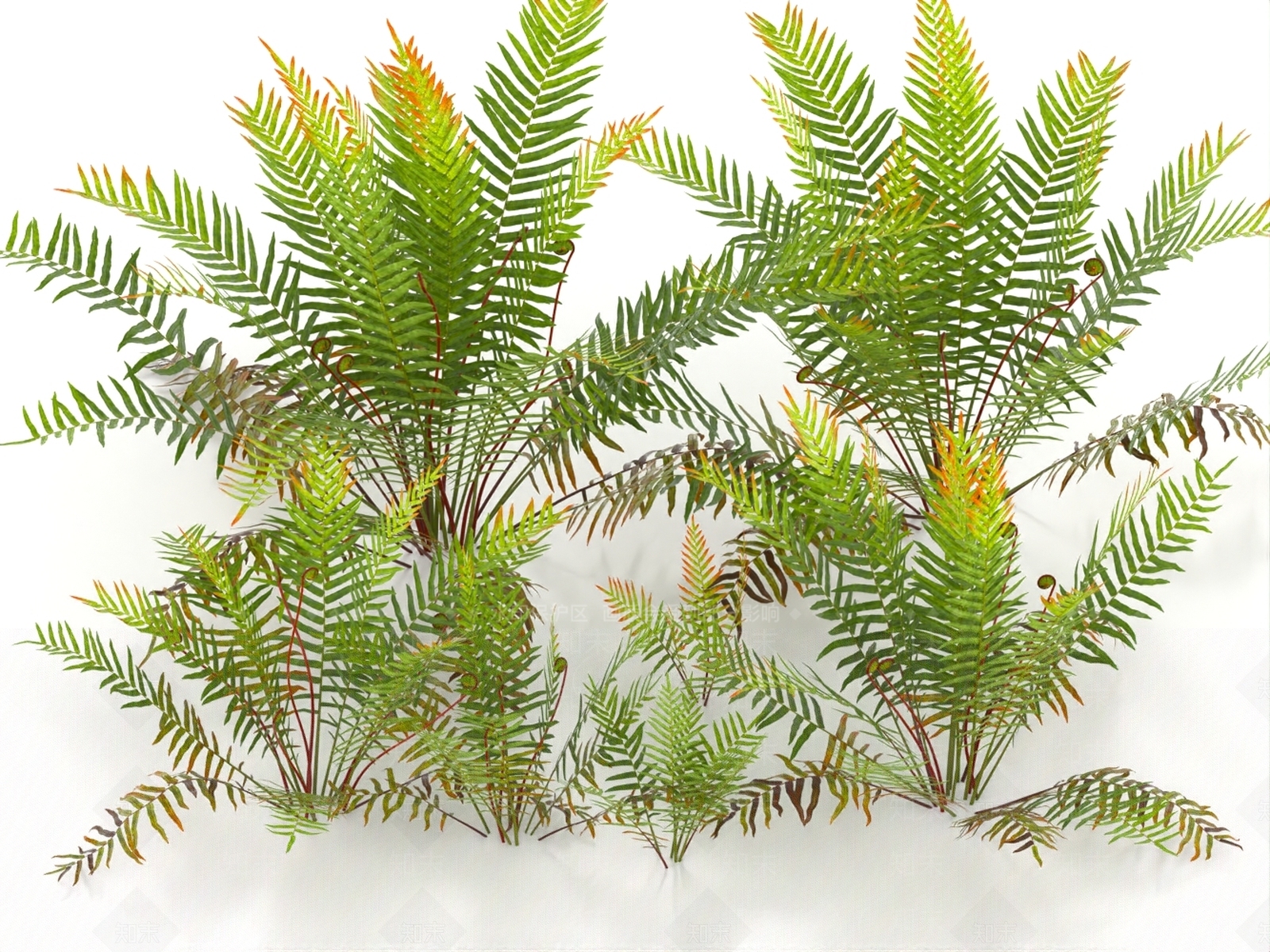 草3D模型下载【ID:1186693086】