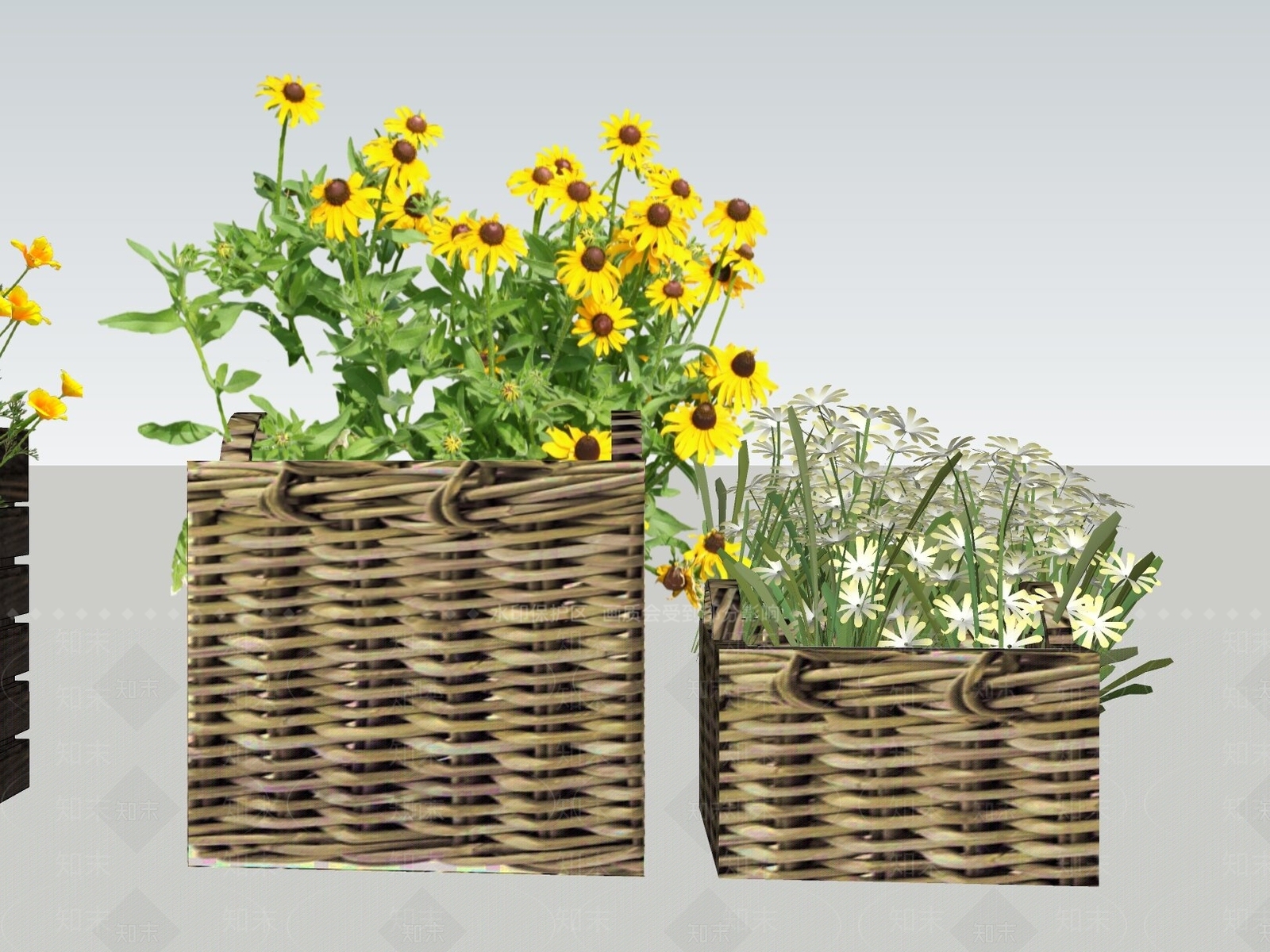 花草SU模型下载【ID:1186725789】