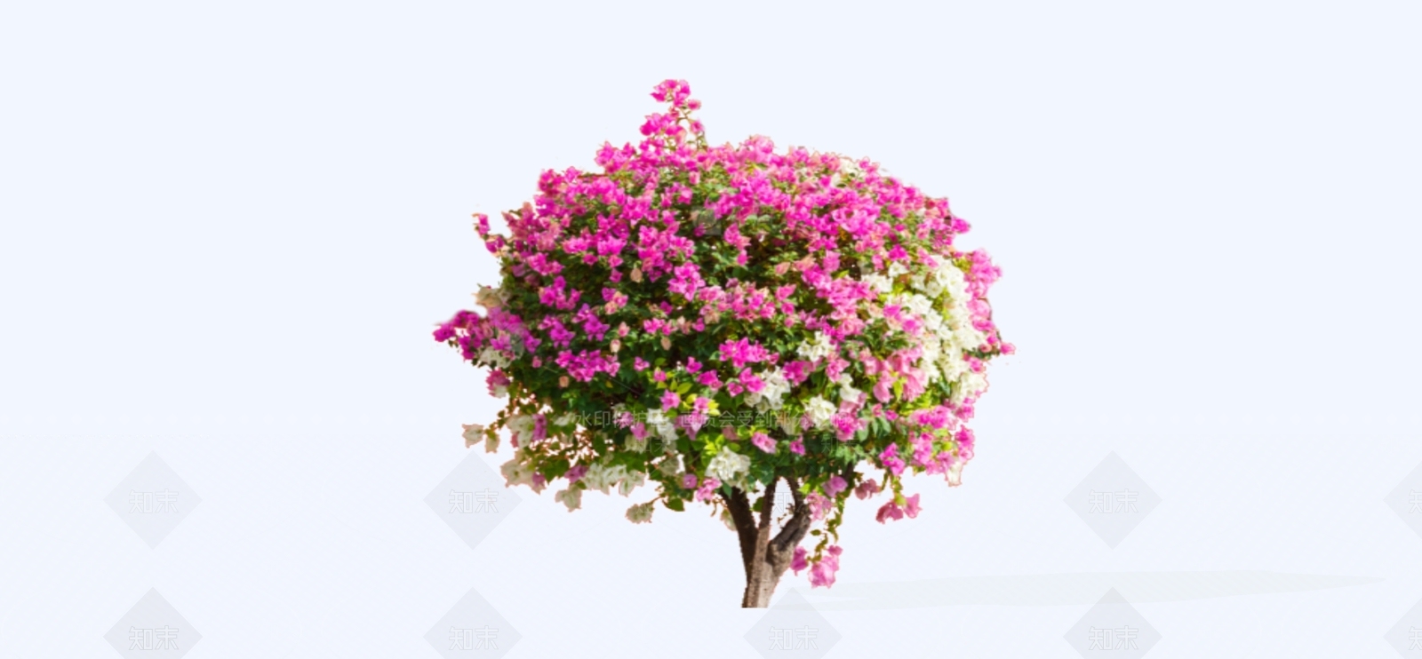 灌木SU模型下载【ID:1186753679】