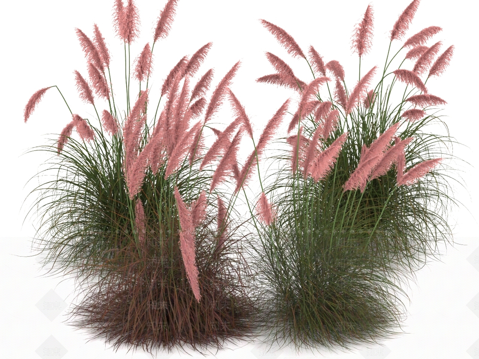 花草组合3D模型下载【ID:1186758004】