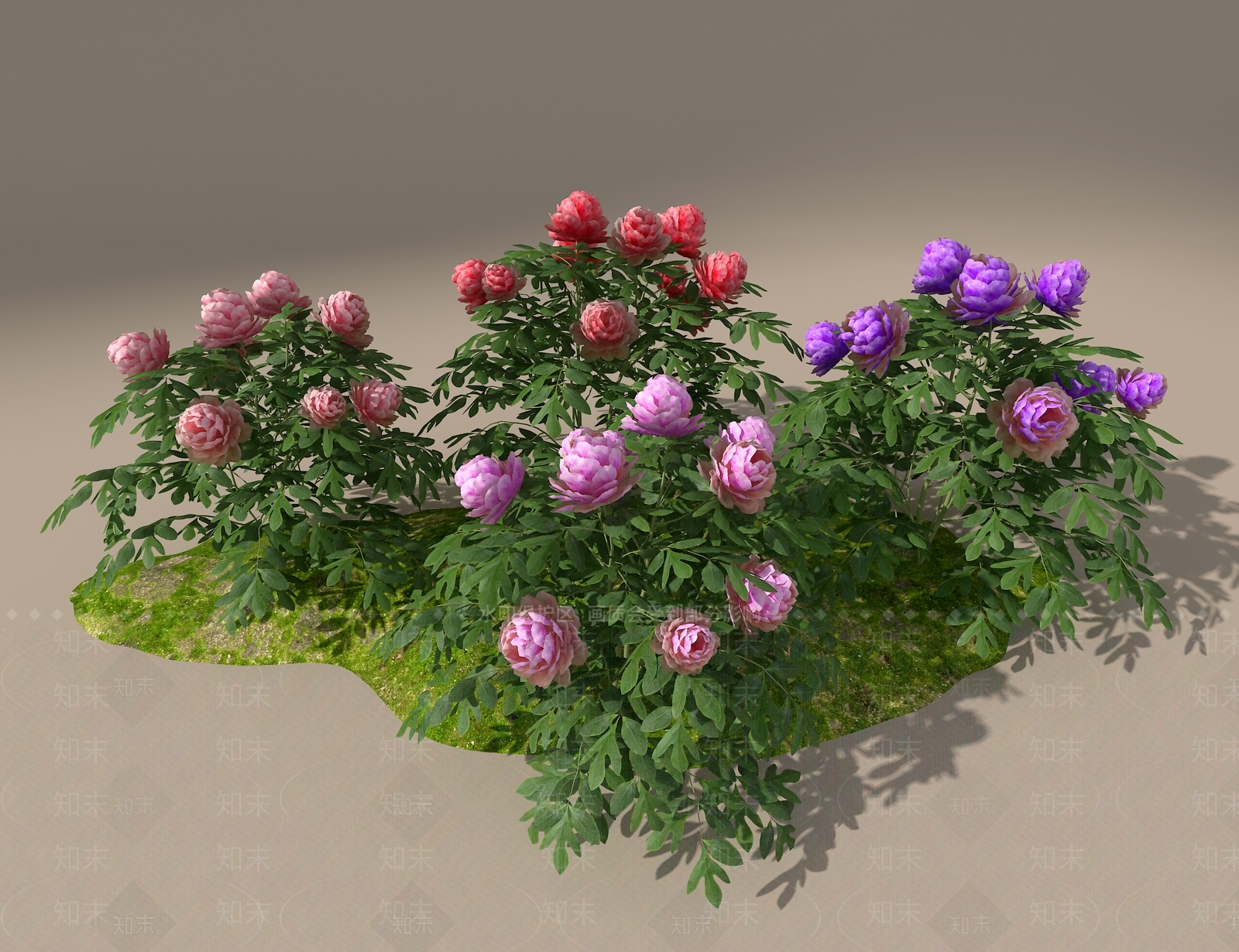 花草组合3D模型下载【ID:1186779562】