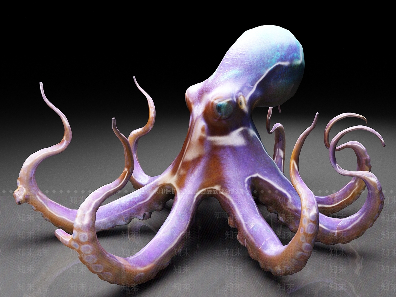 水生类动物3D模型下载【ID:1186816802】