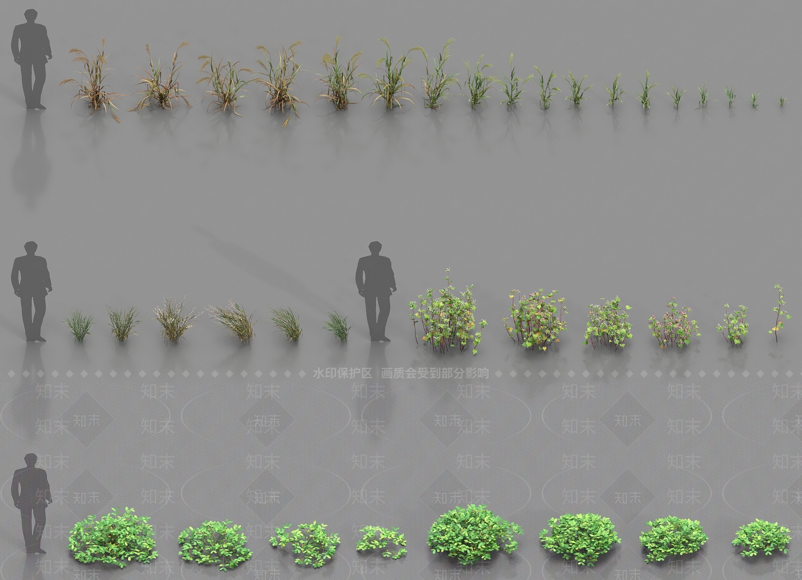 农作物3D模型下载【ID:1186817143】