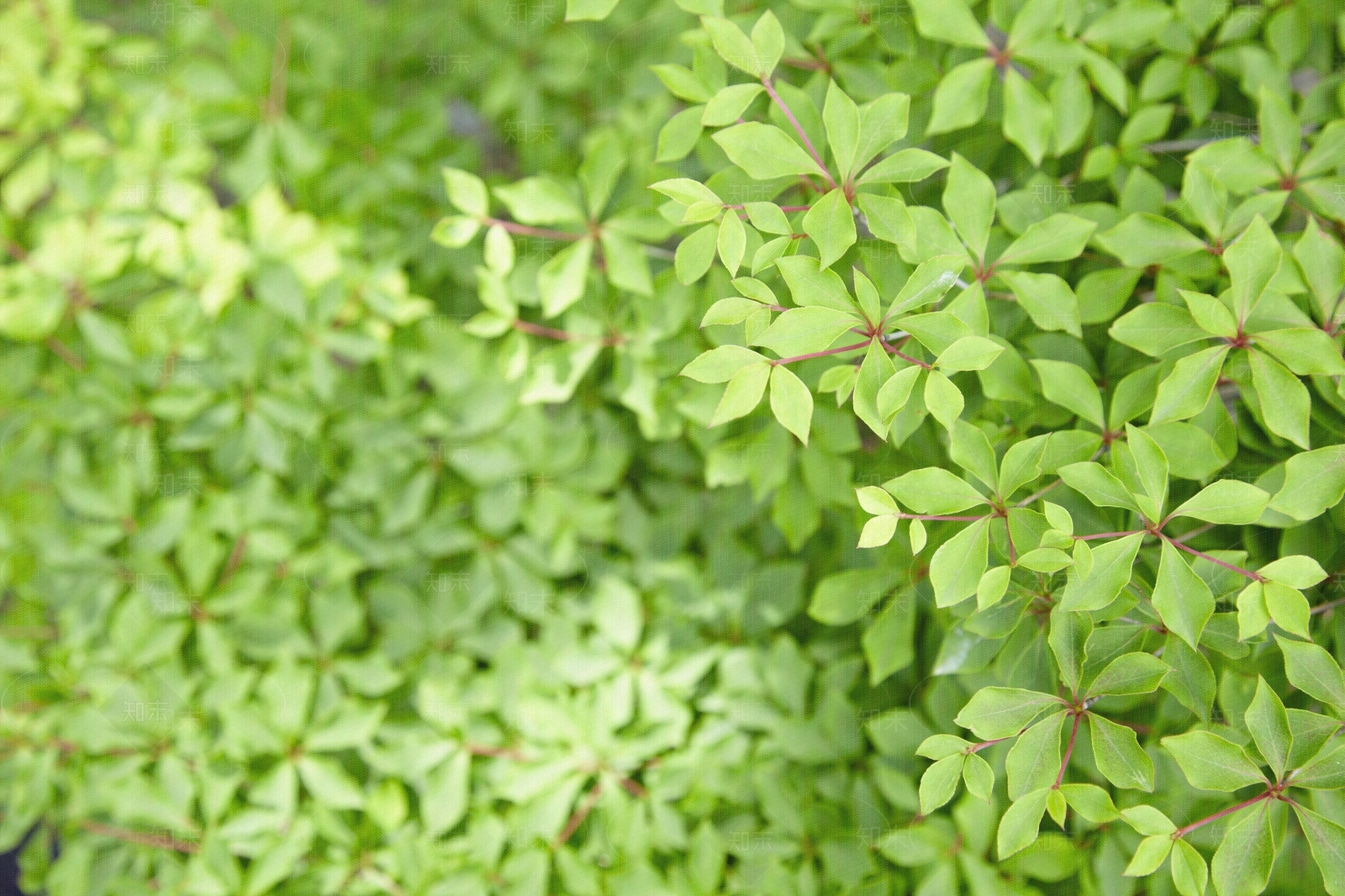 现代外立面贴图下载【ID:1186845885】