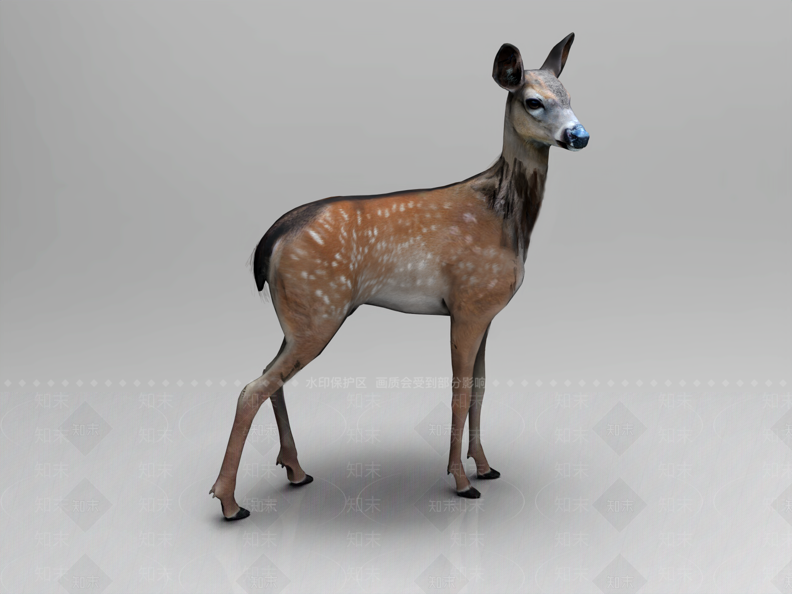 爬行类动物3D模型下载【ID:1186861326】