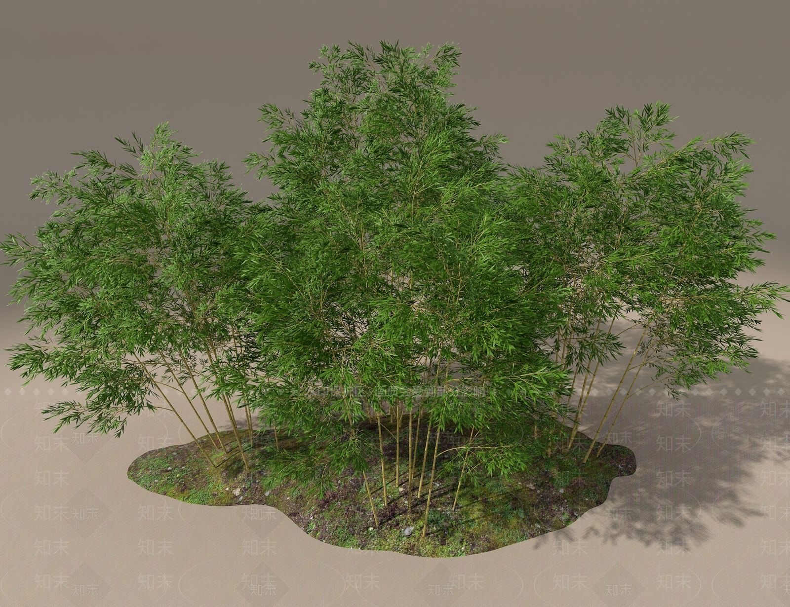 竹子3D模型下载【ID:1186865215】