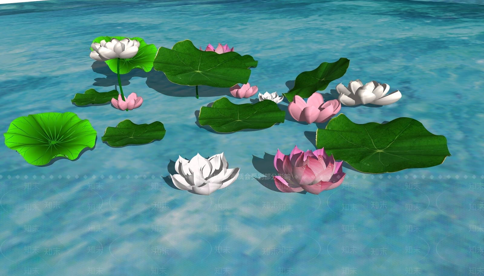 水生植物SU模型下载【ID:1186883919】