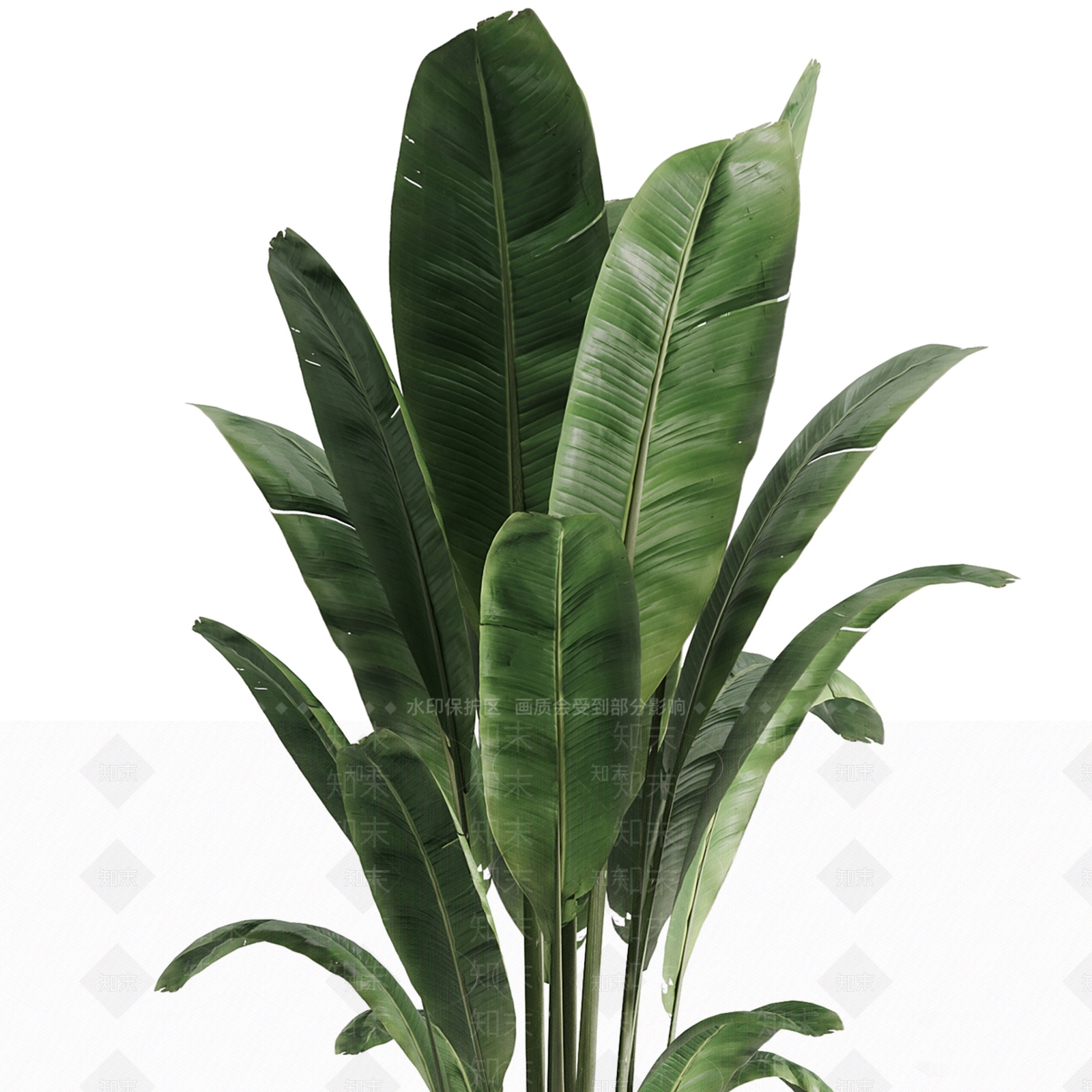 盆栽3D模型下载【ID:1186884370】